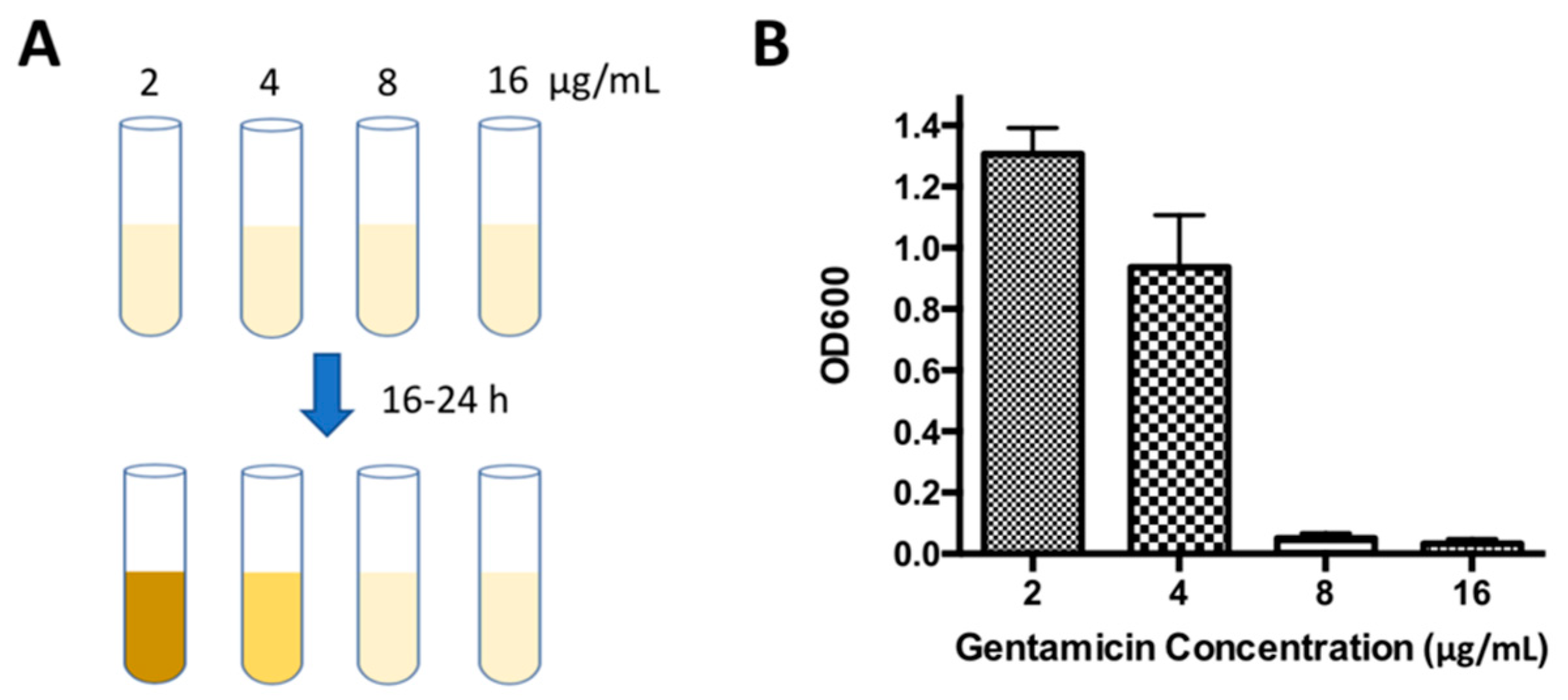 Molecules 24 02441 g004