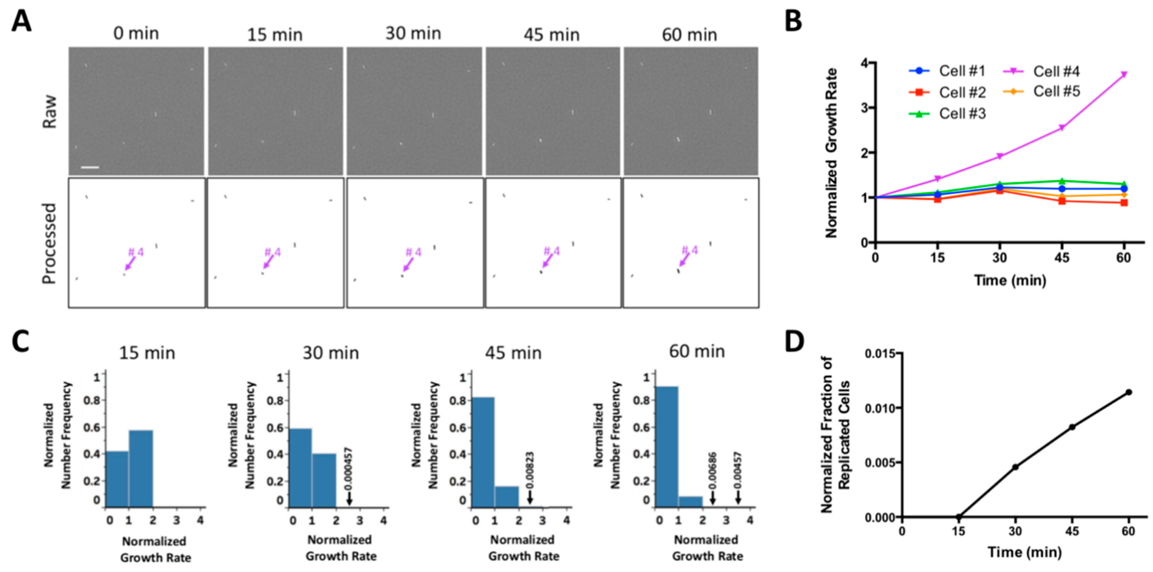 Molecules 24 02441 g005