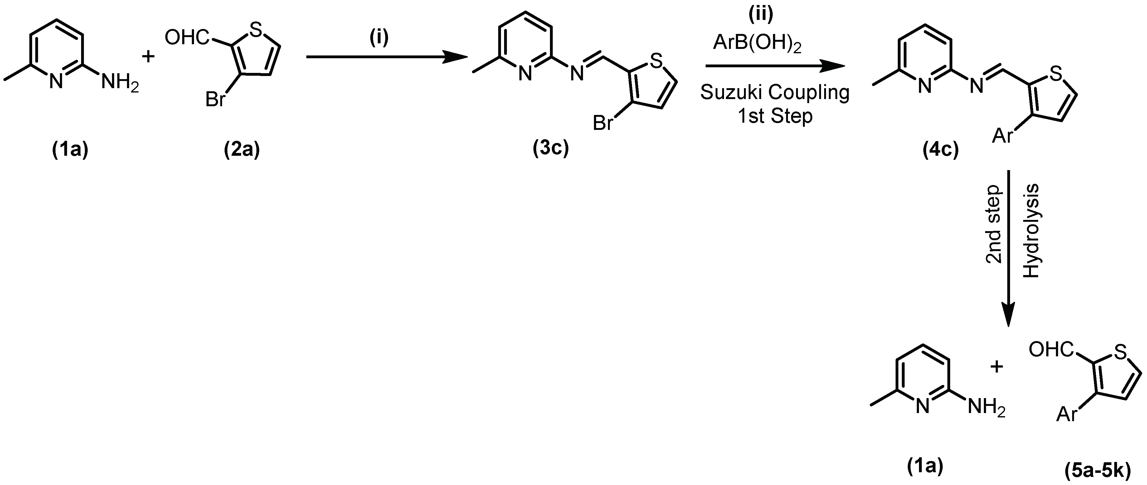 Molecules 24 02609 sch004