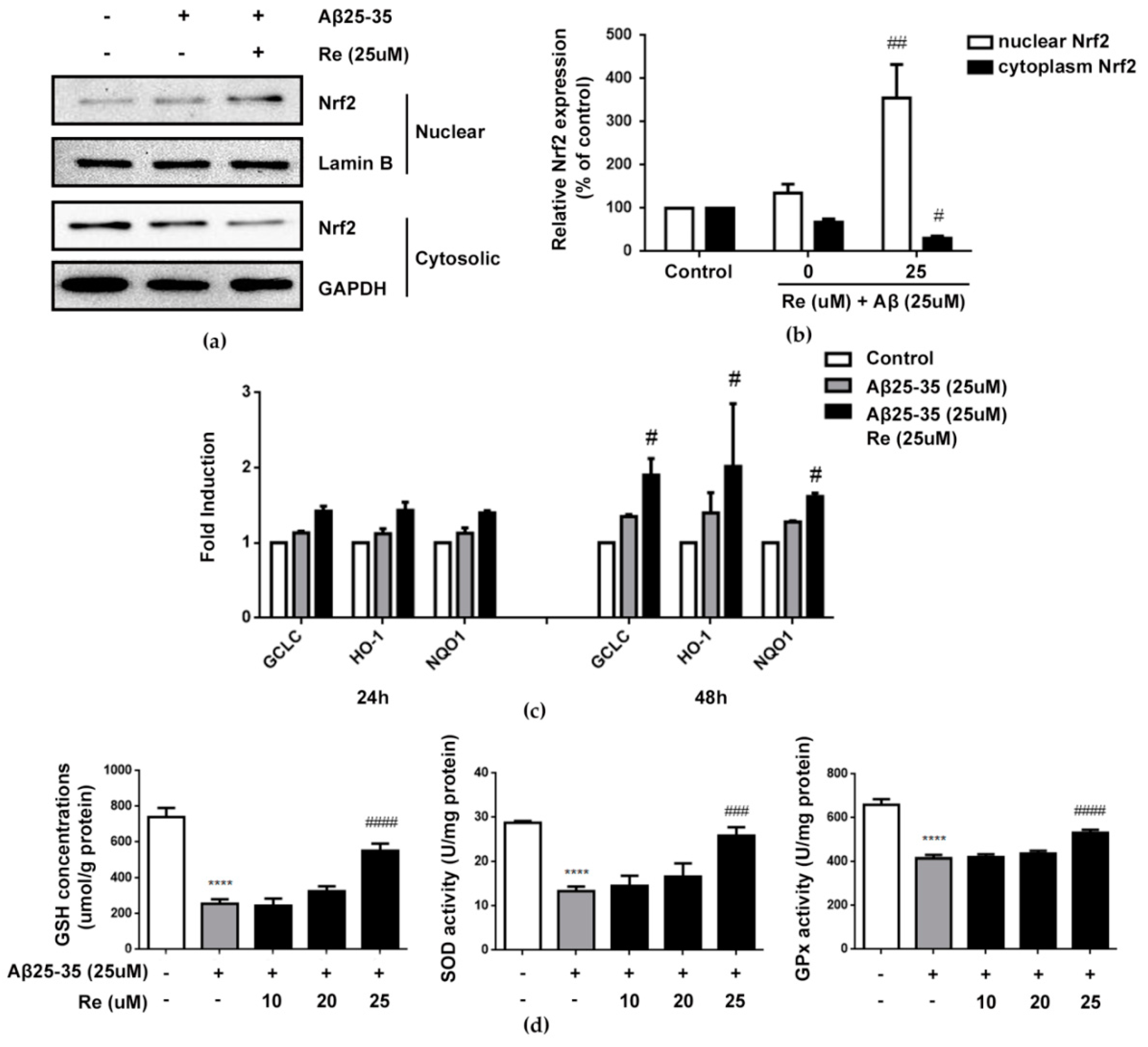 Molecules 24 02687 g005 Molecules 24 02687 g005