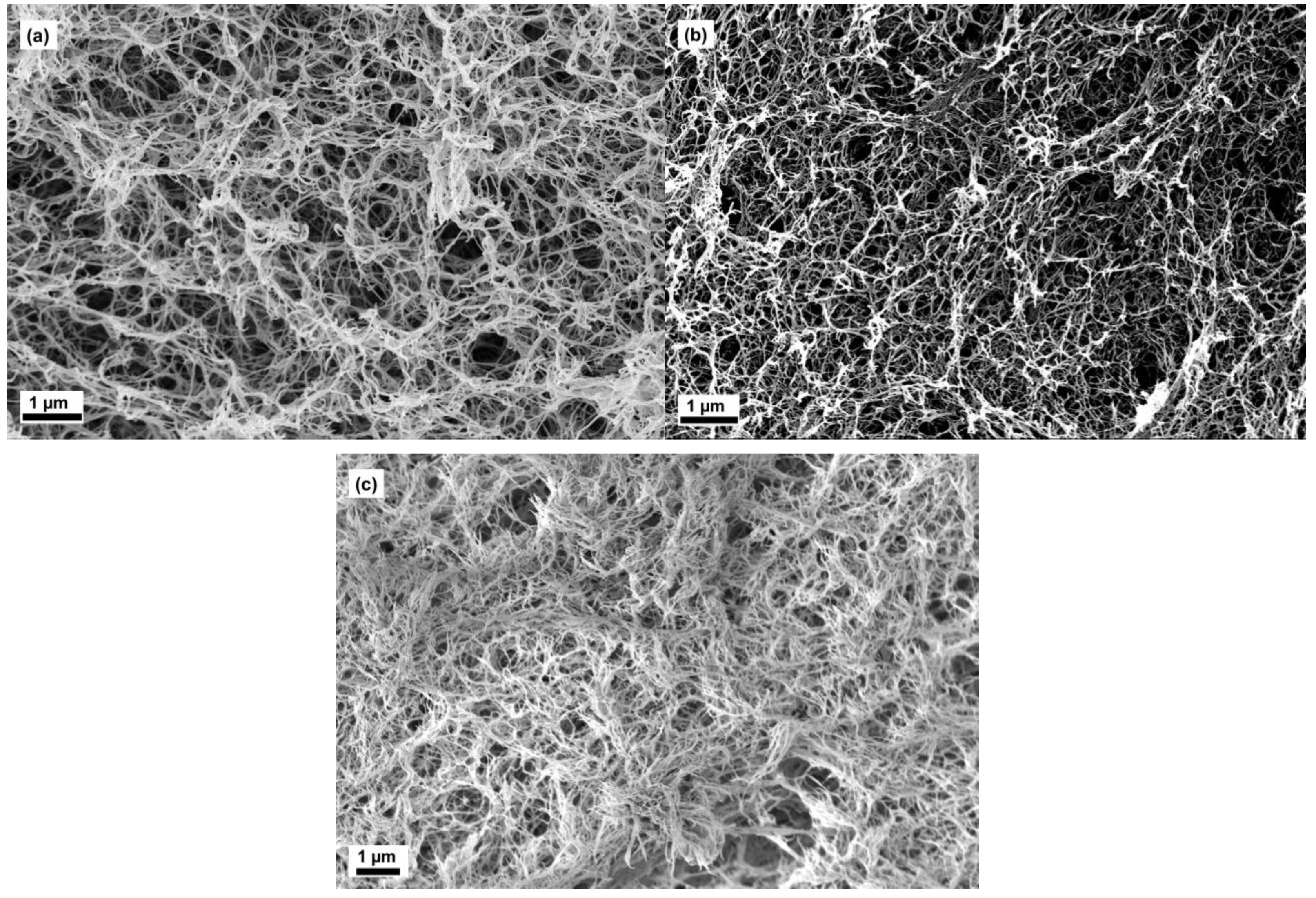 Molecules 24 02688 g001