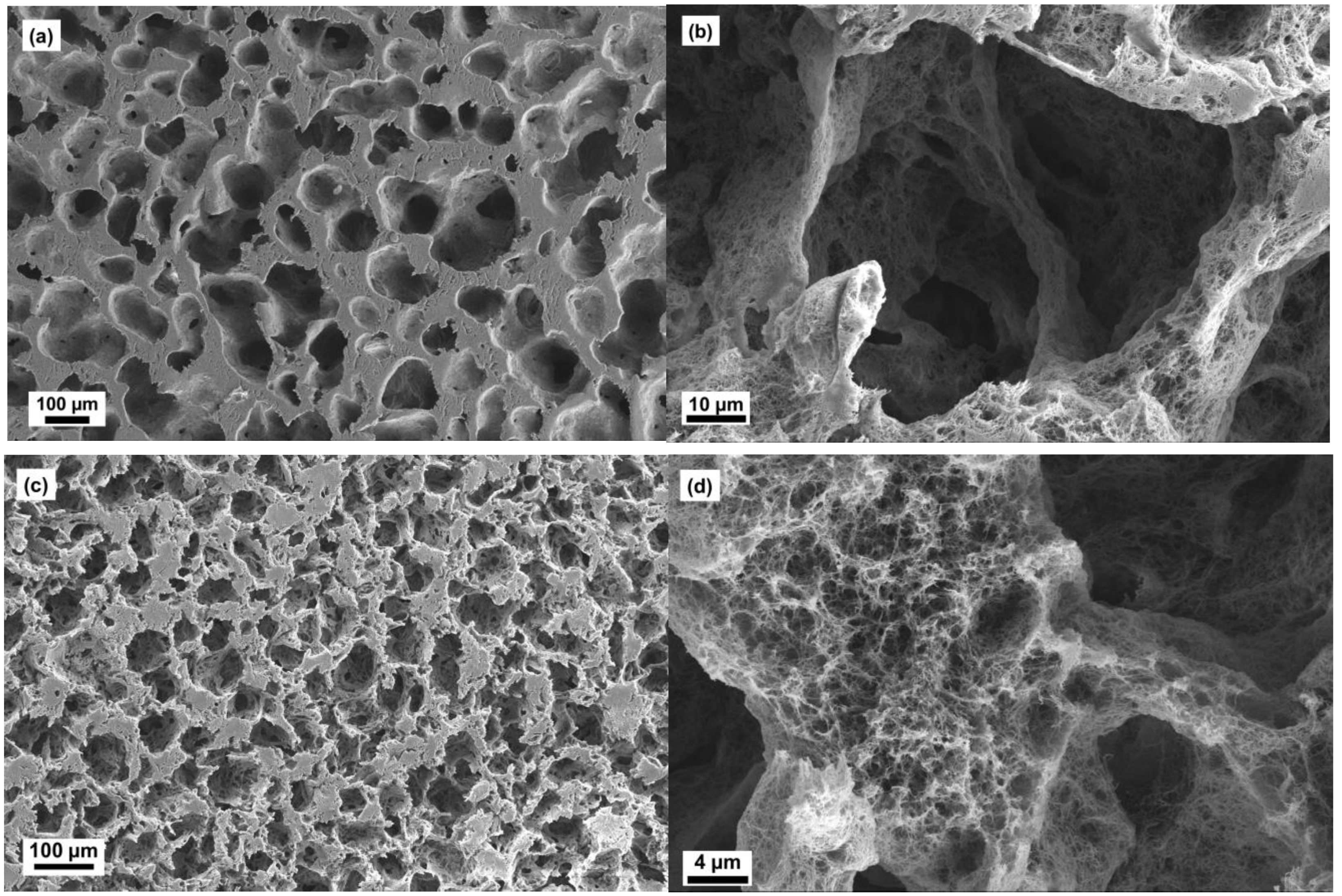Molecules 24 02688 g003