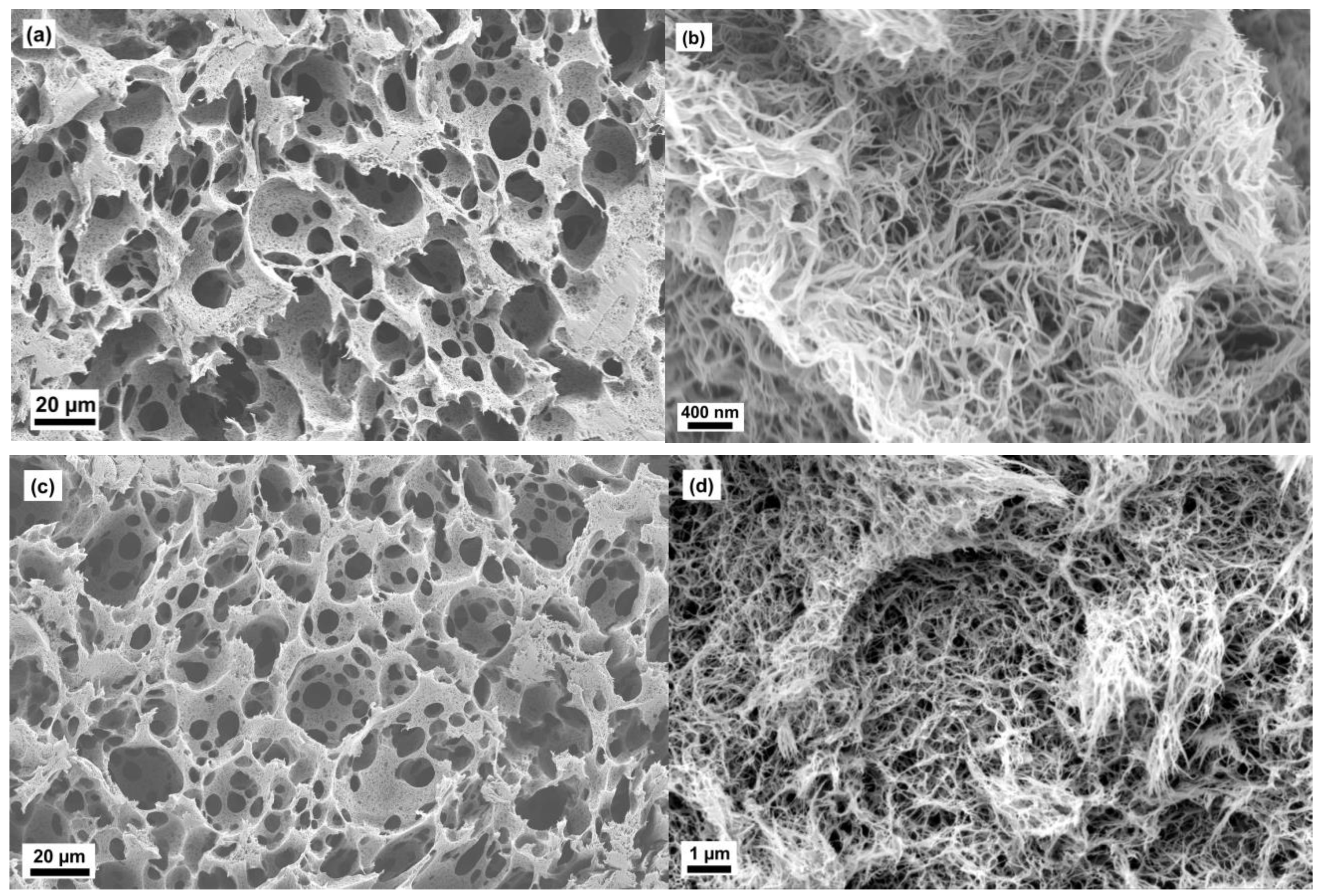 Molecules 24 02688 g004