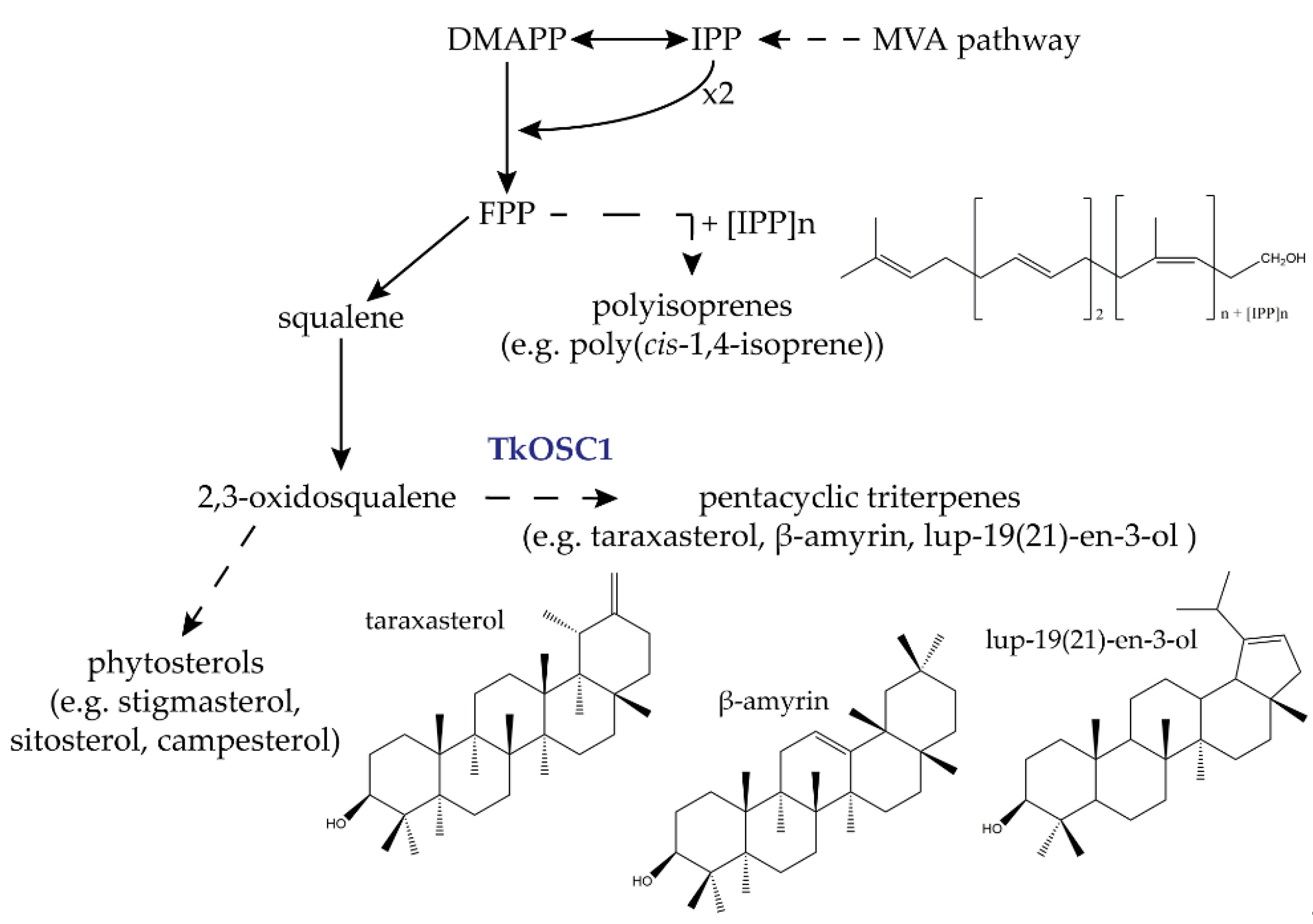 Molecules 24 02703 g001