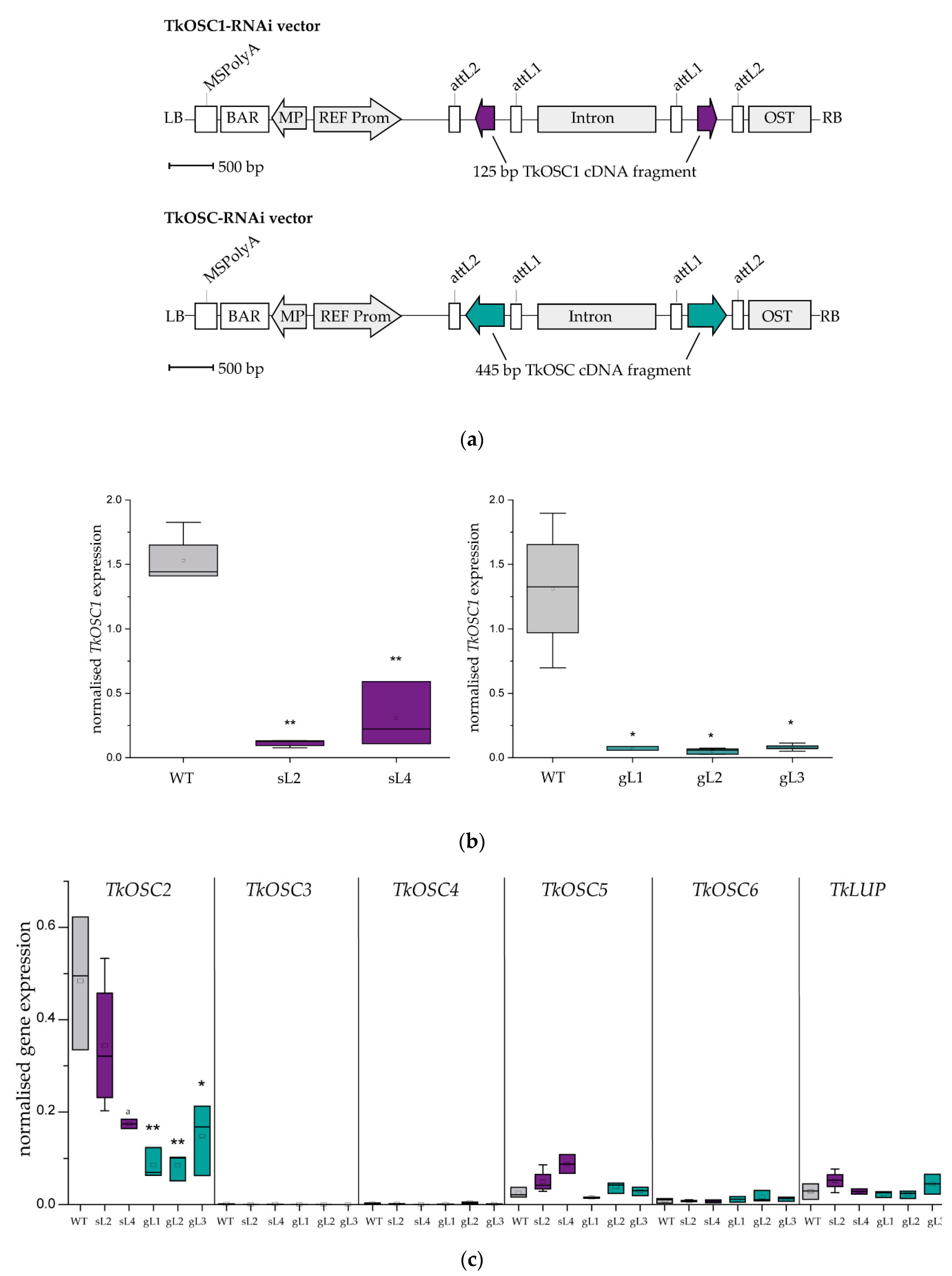 Molecules 24 02703 g002