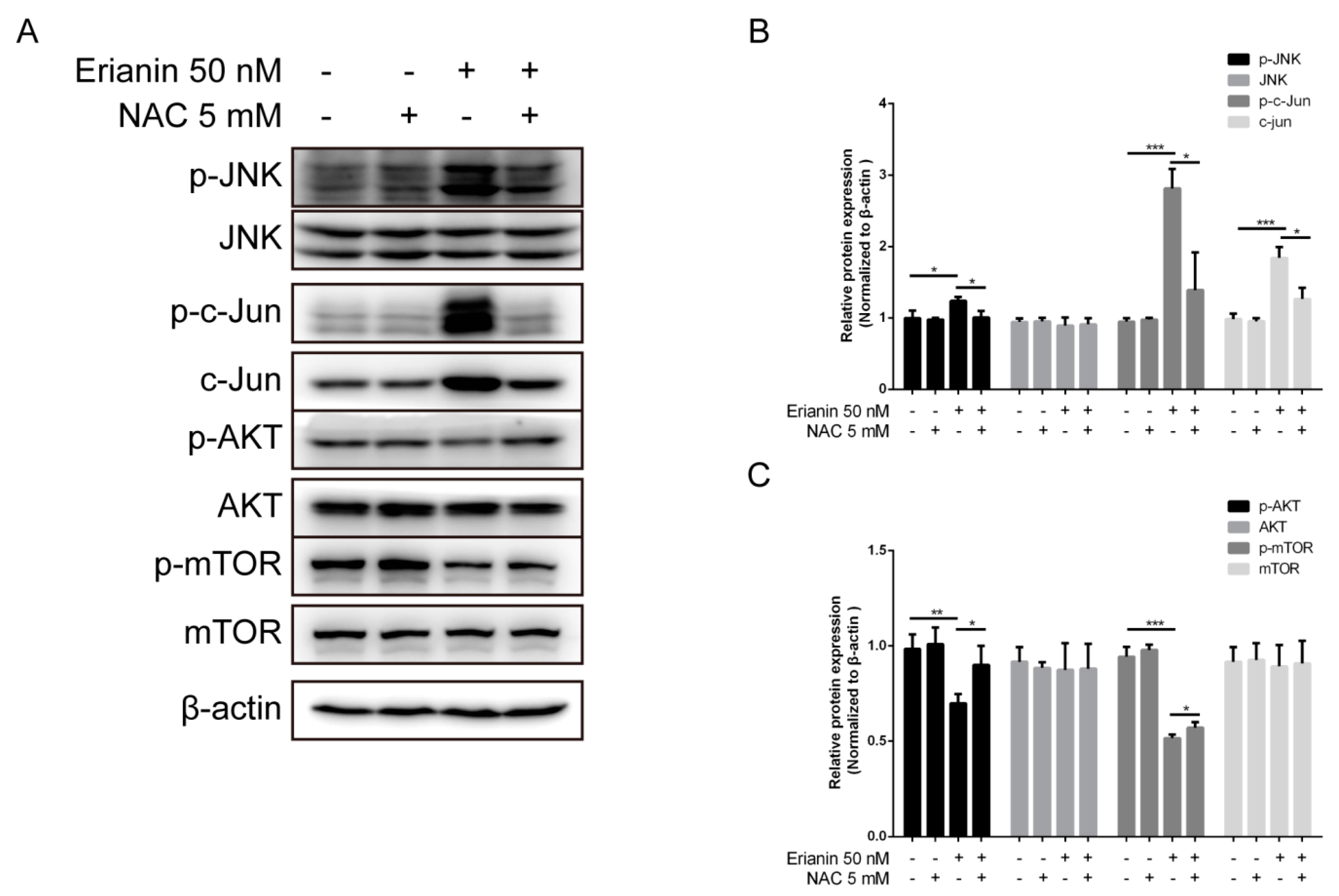 Molecules 24 02727 g005