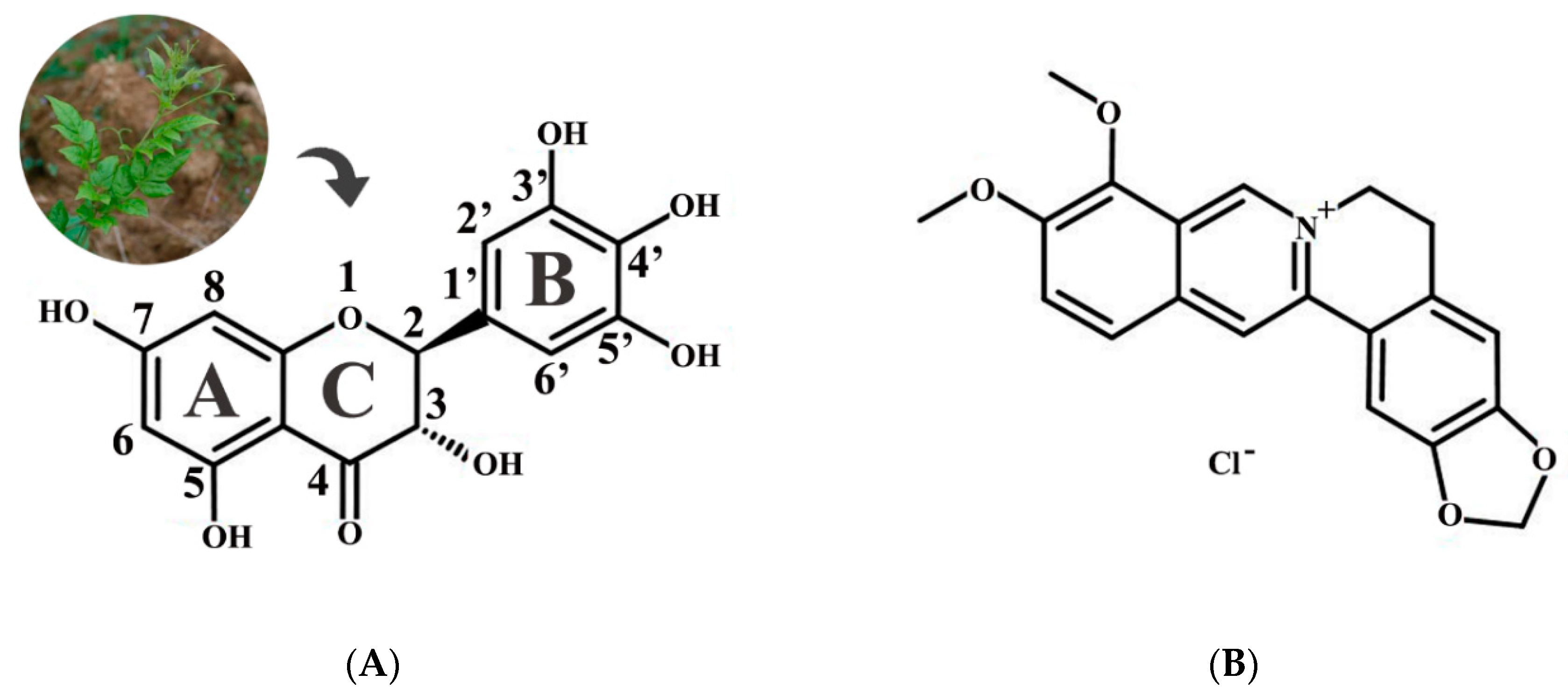 Molecules 24 02831 g001