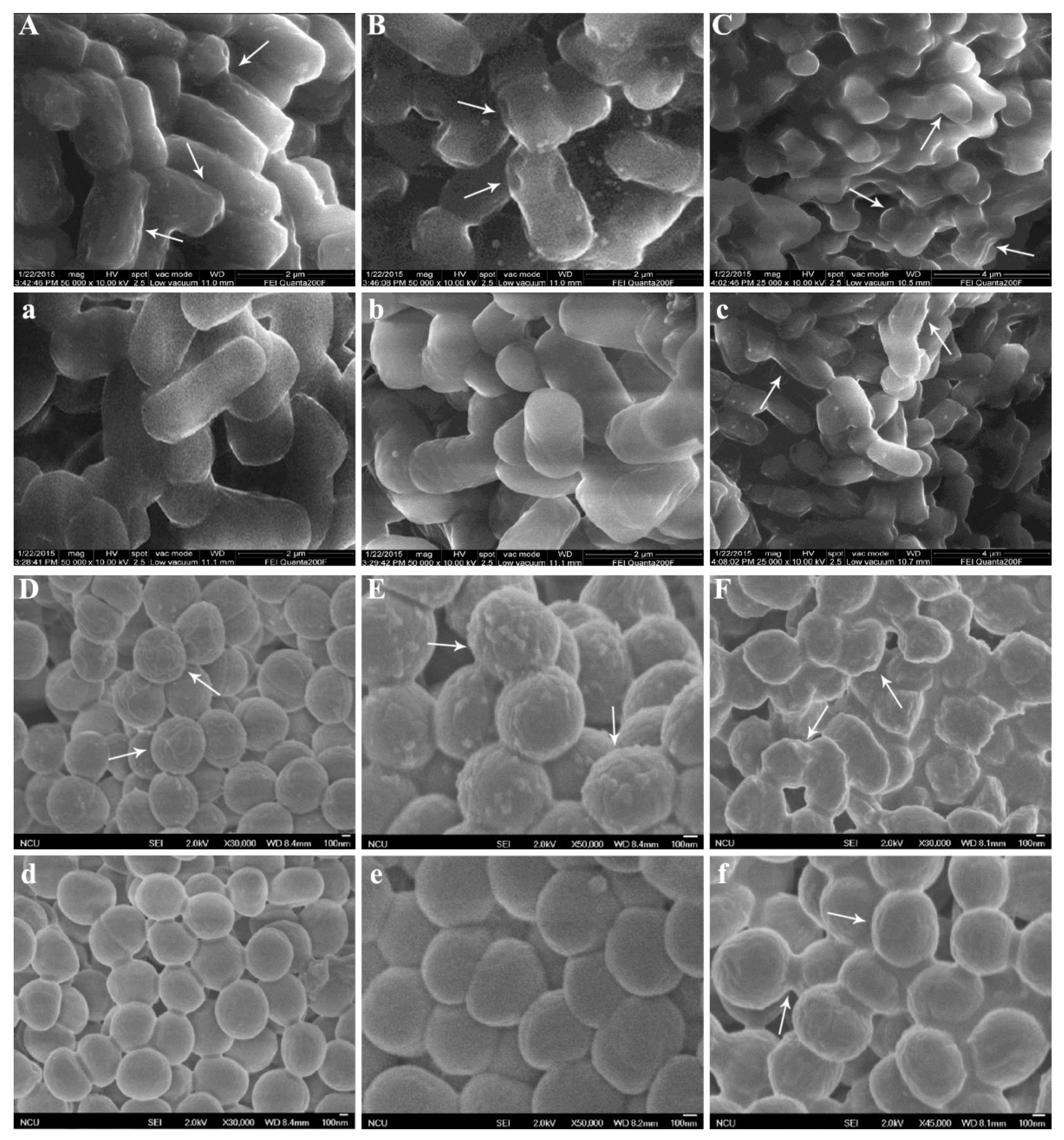 Molecules 24 02831 g003