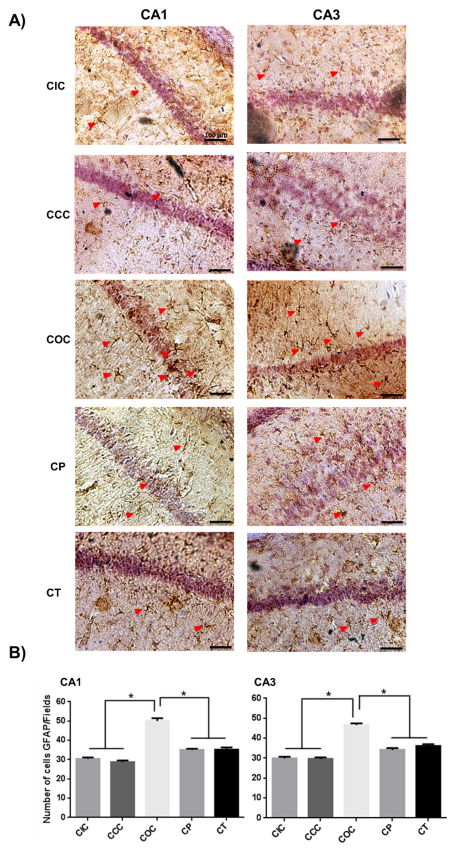 Molecules 24 02839 g002