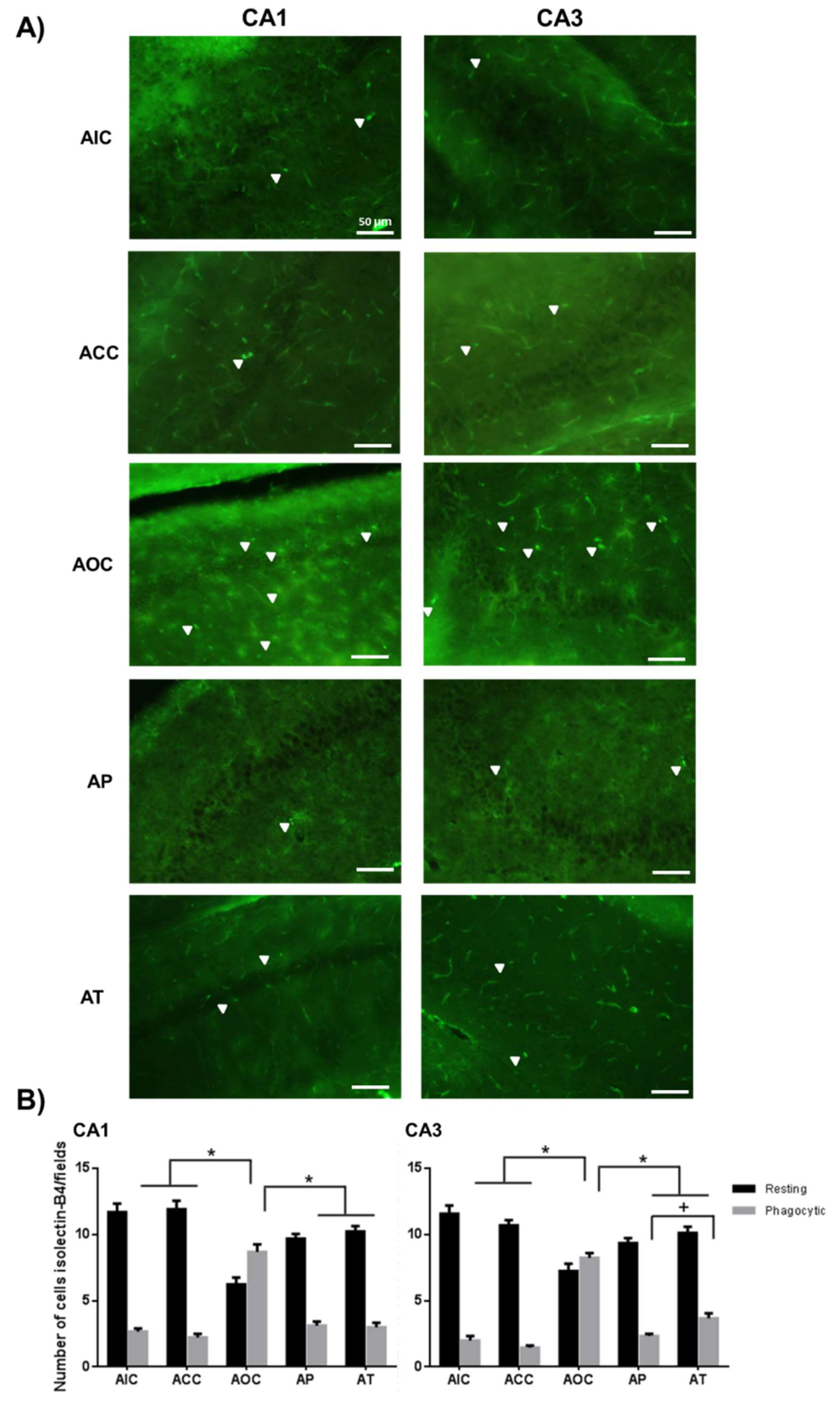 Molecules 24 02839 g003