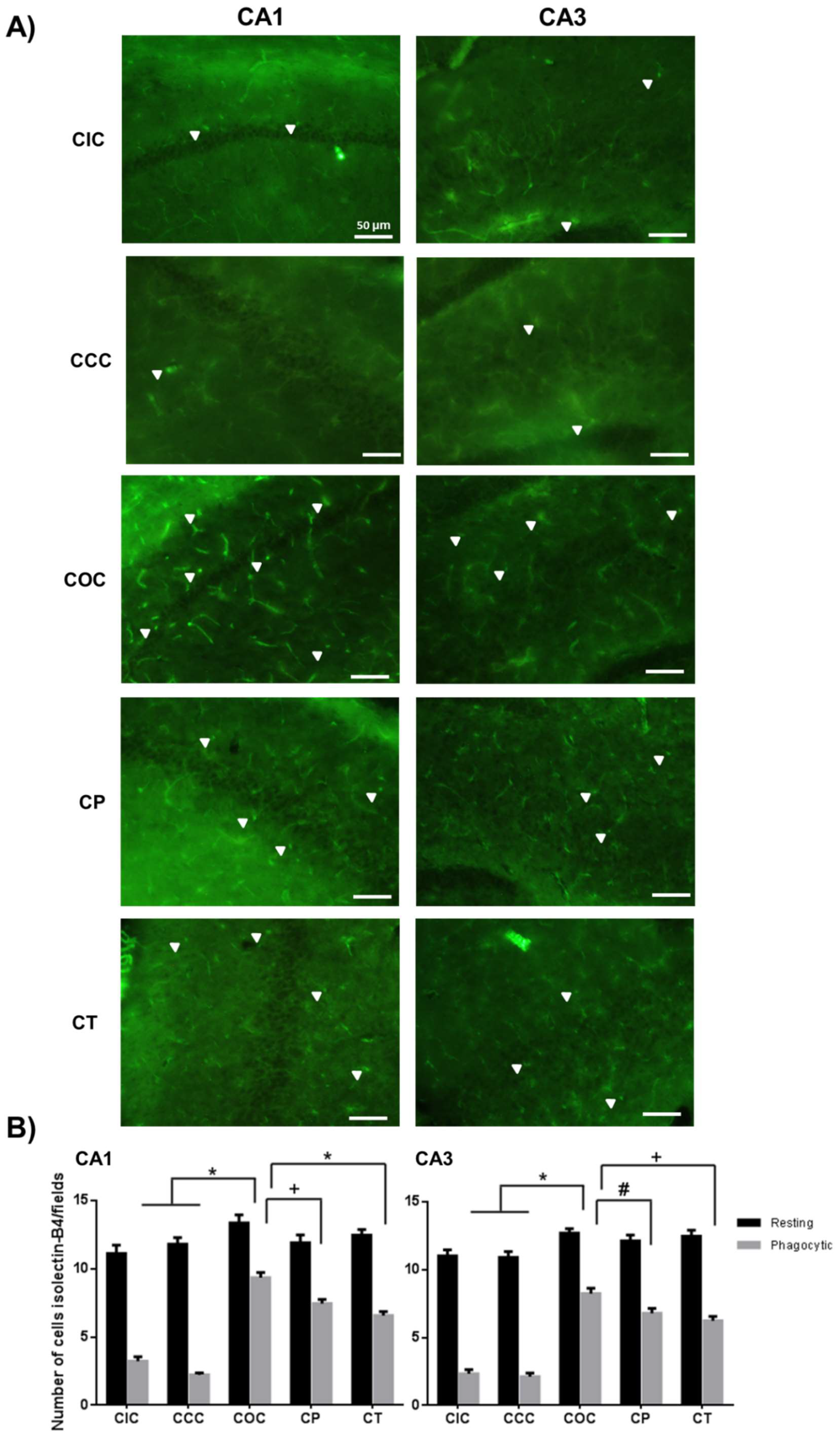 Molecules 24 02839 g004