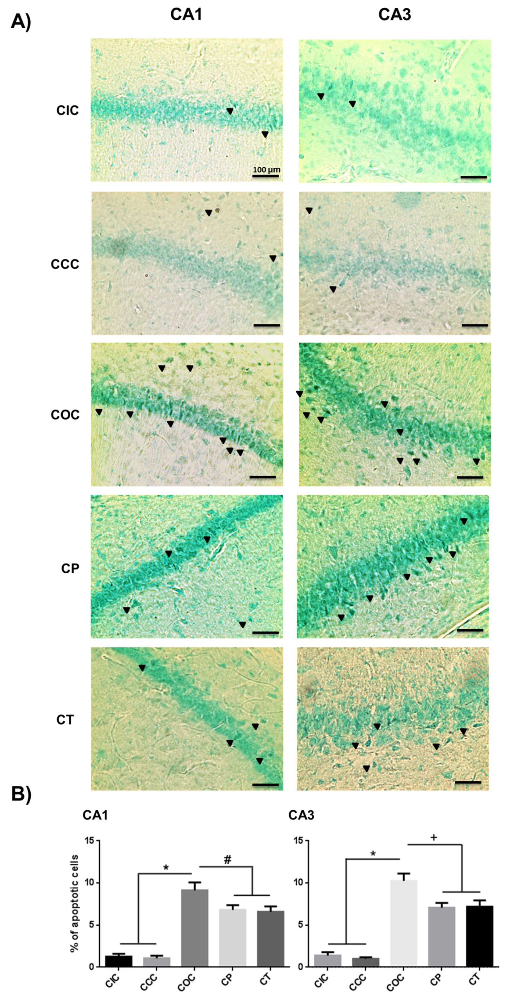 Molecules 24 02839 g007