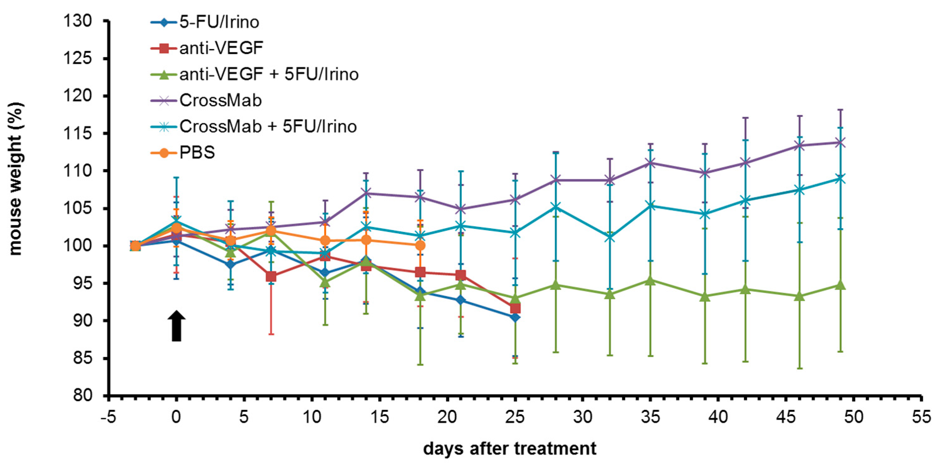 Molecules 24 02865 g004 Molecules 24 02865 g004