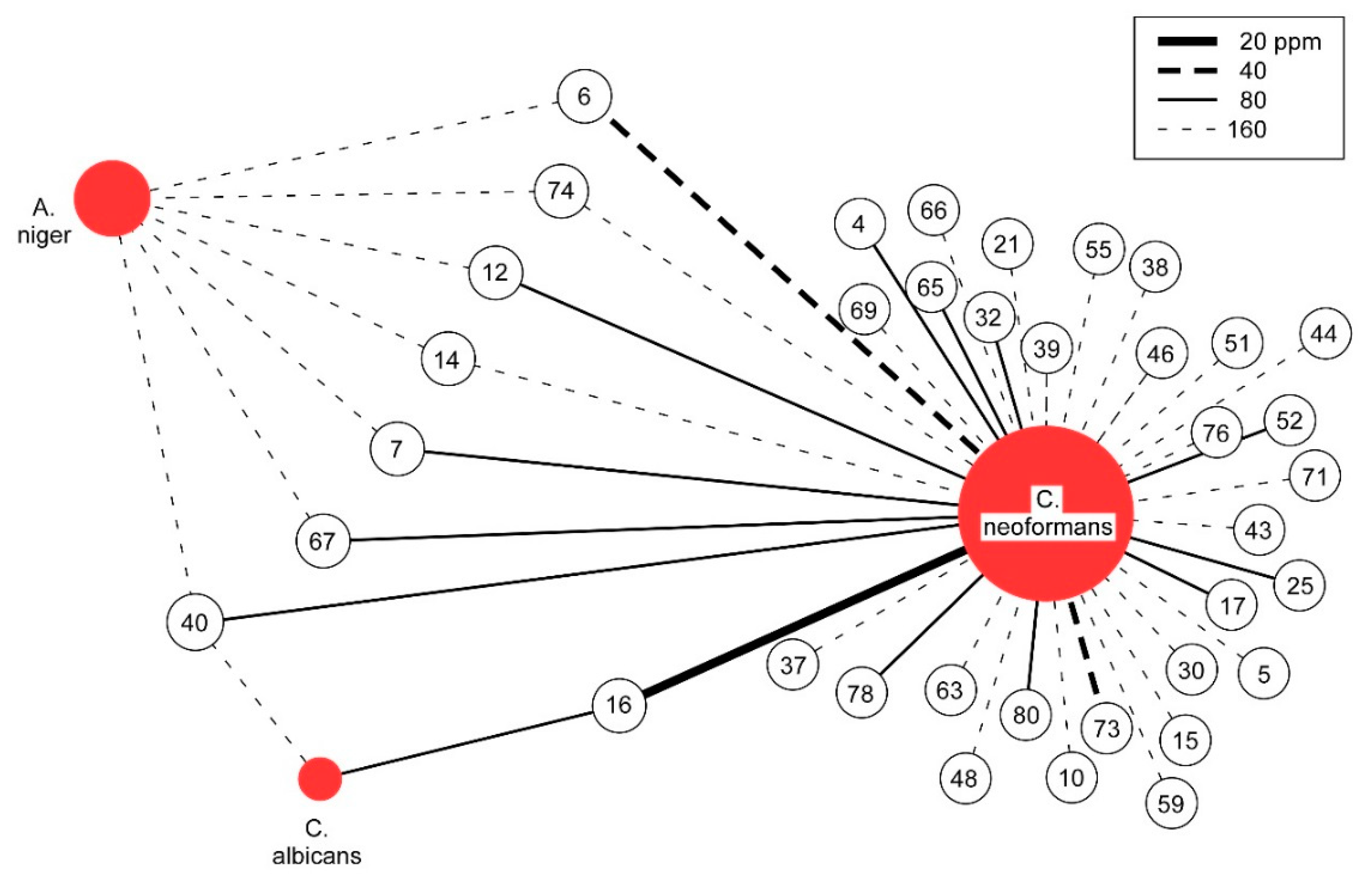 Molecules 24 02868 g001 Molecules 24 02868 g001