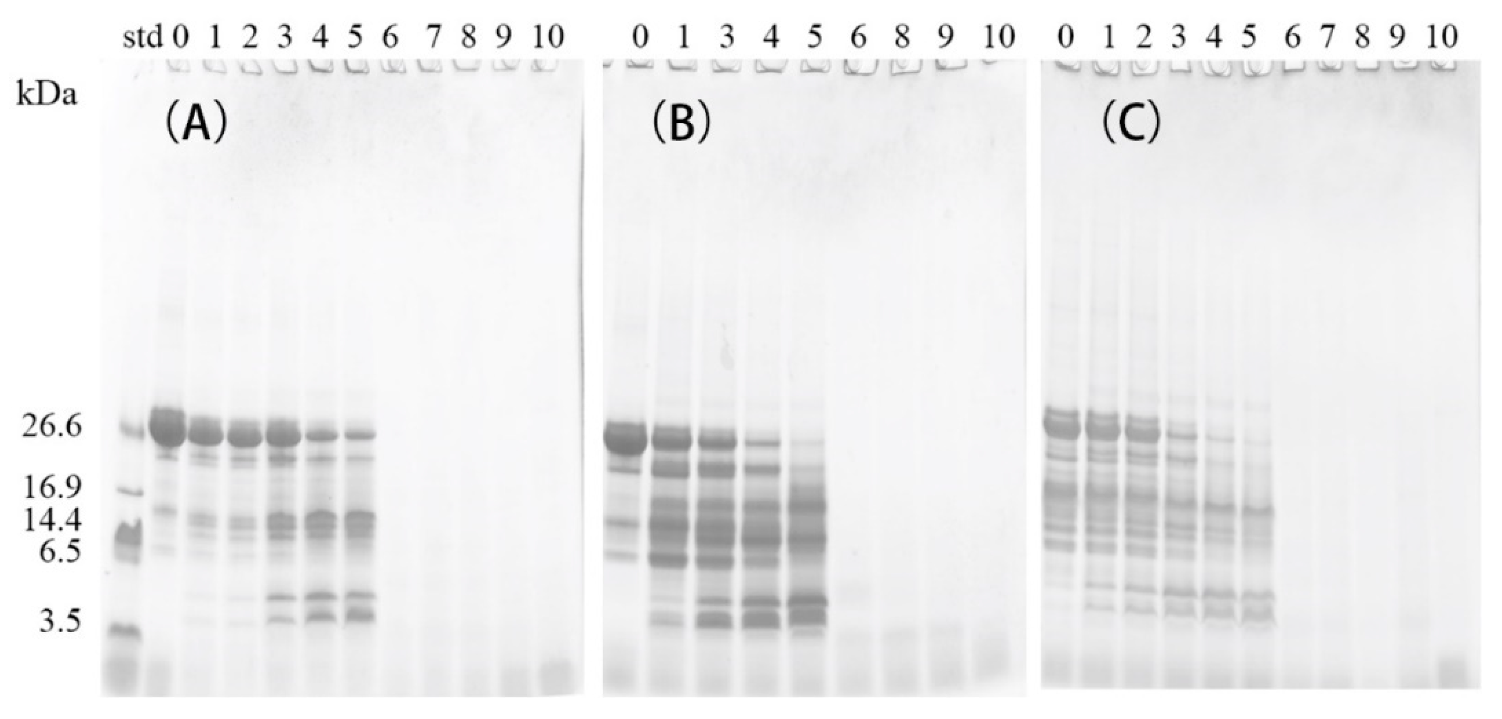 Molecules 24 02876 g003