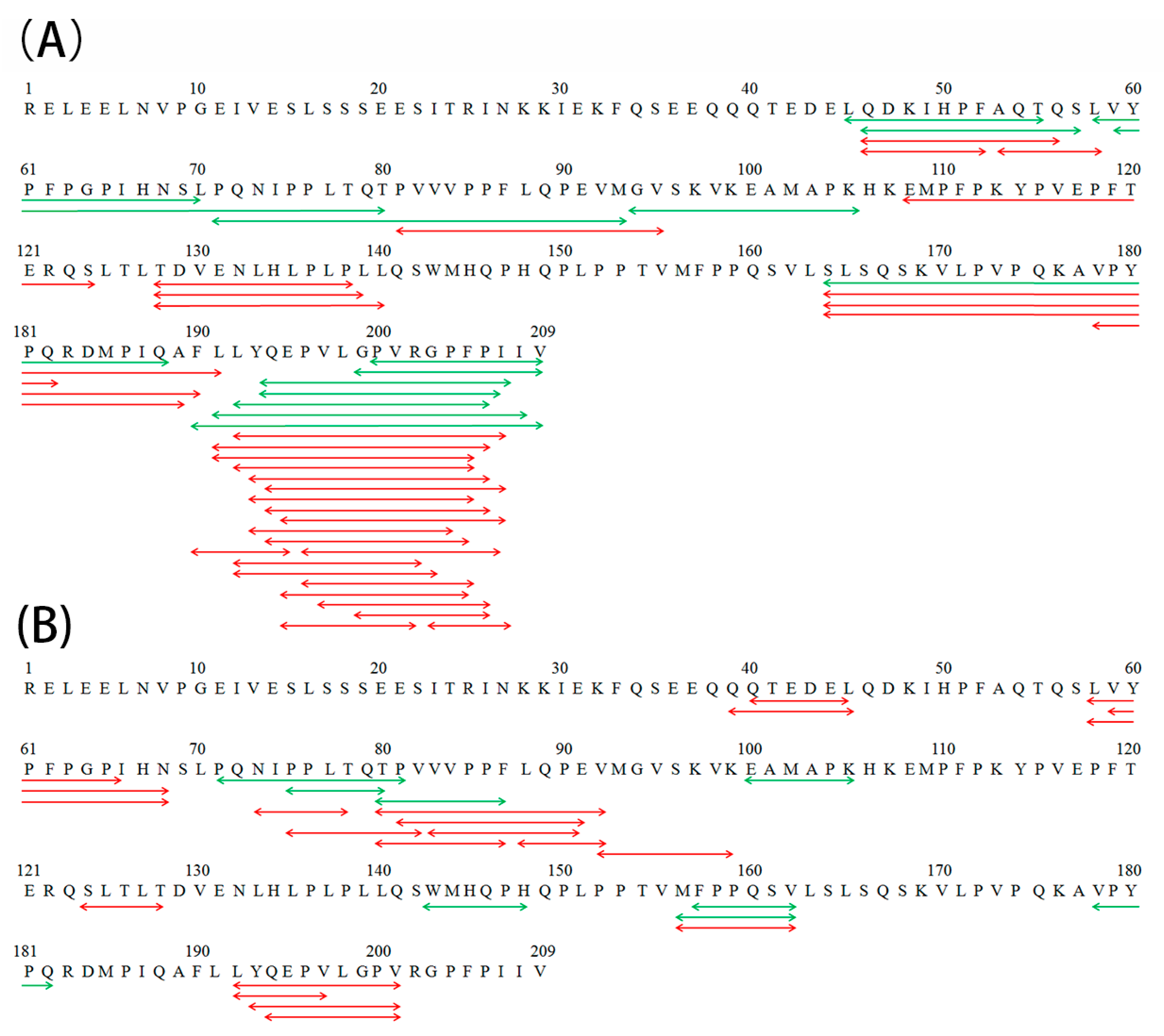 Molecules 24 02876 g004