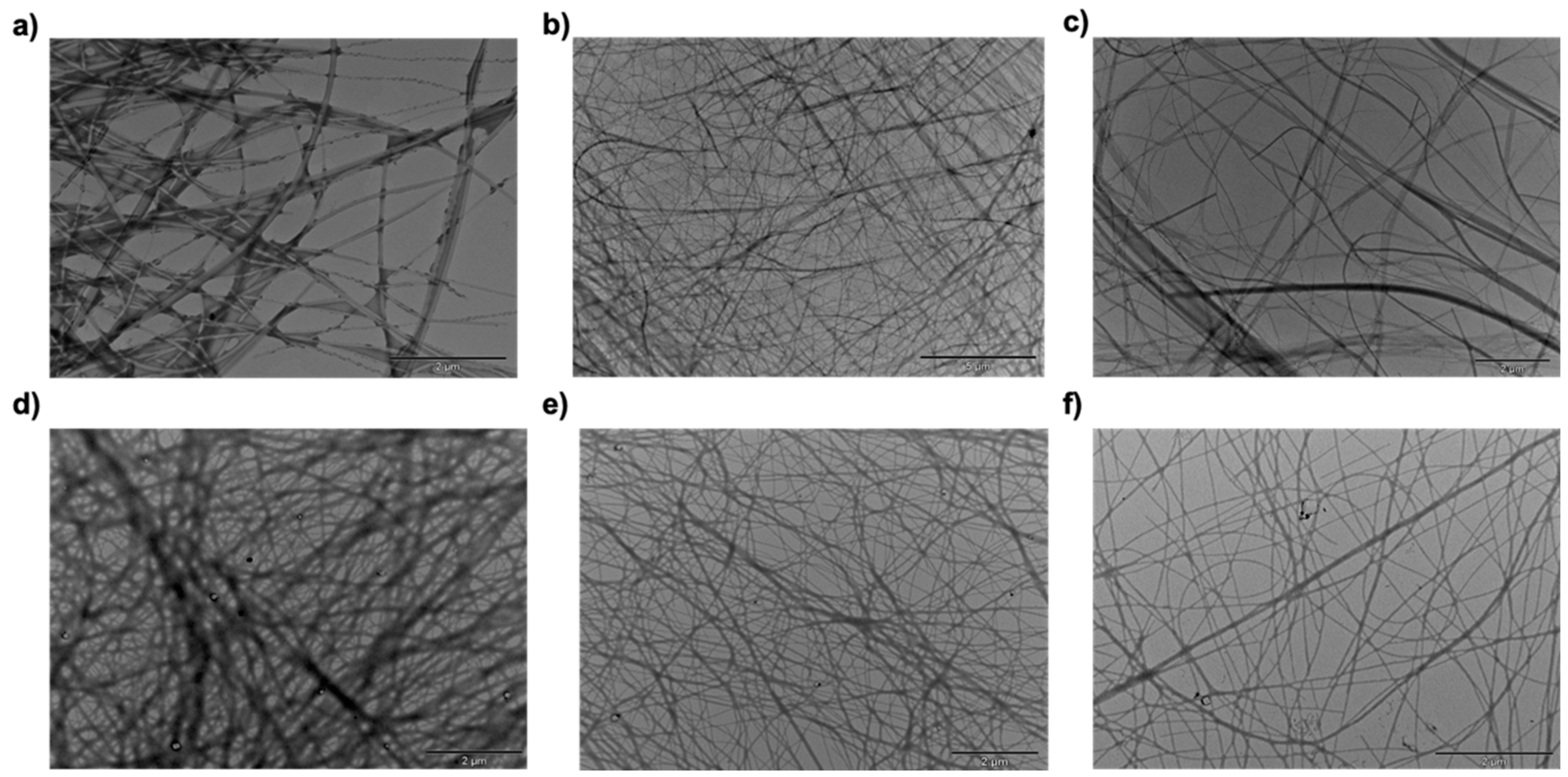 Molecules 24 02884 g004
