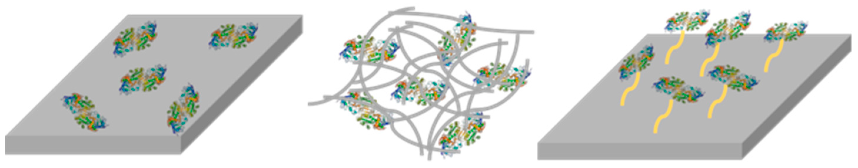 Molecules 24 02884 sch001