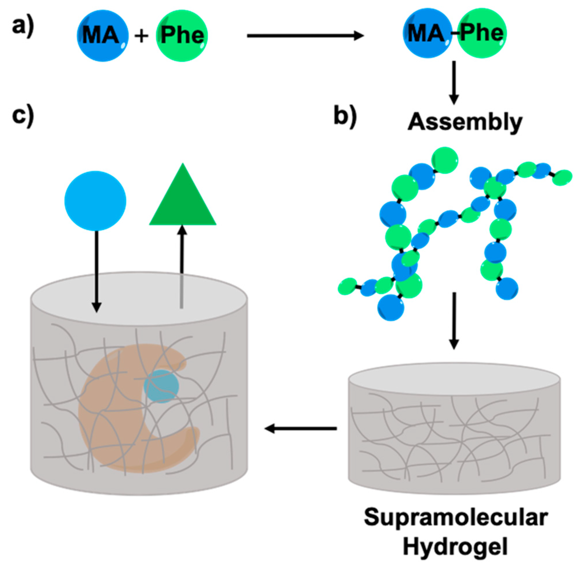 Molecules 24 02884 sch002