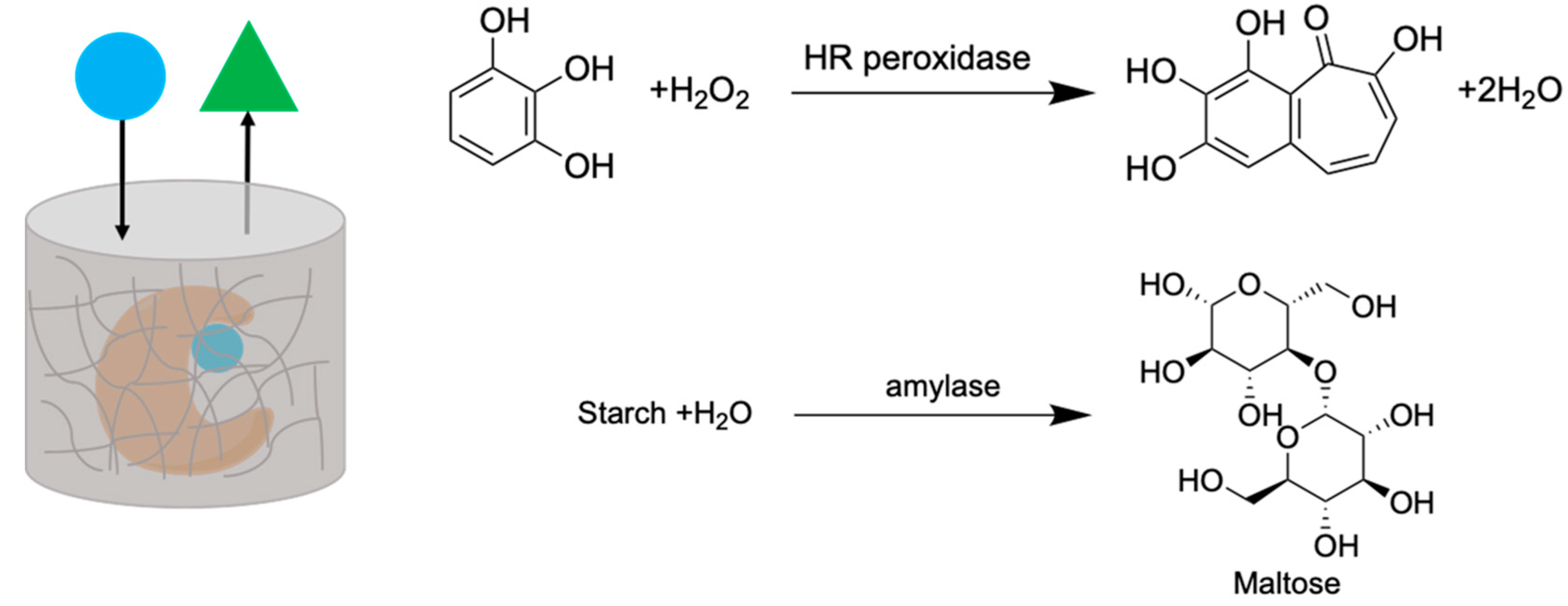 Molecules 24 02884 sch003