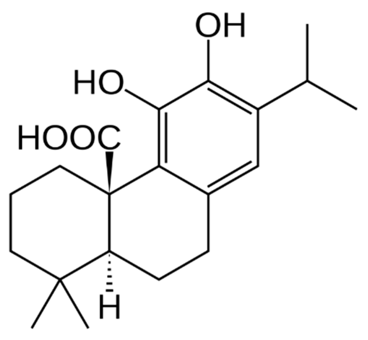 Molecules 24 02921 g001