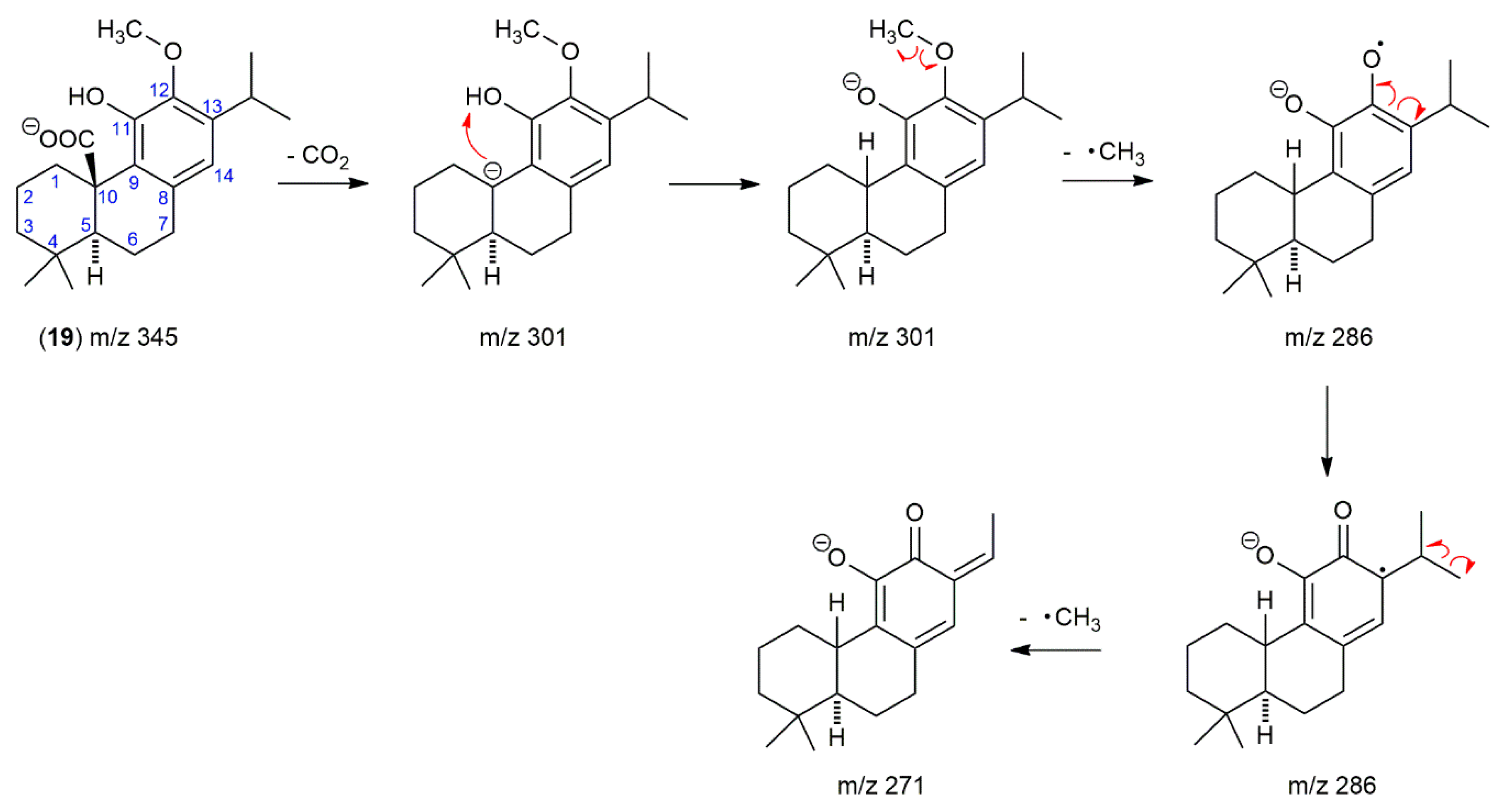 Molecules 24 02921 g003