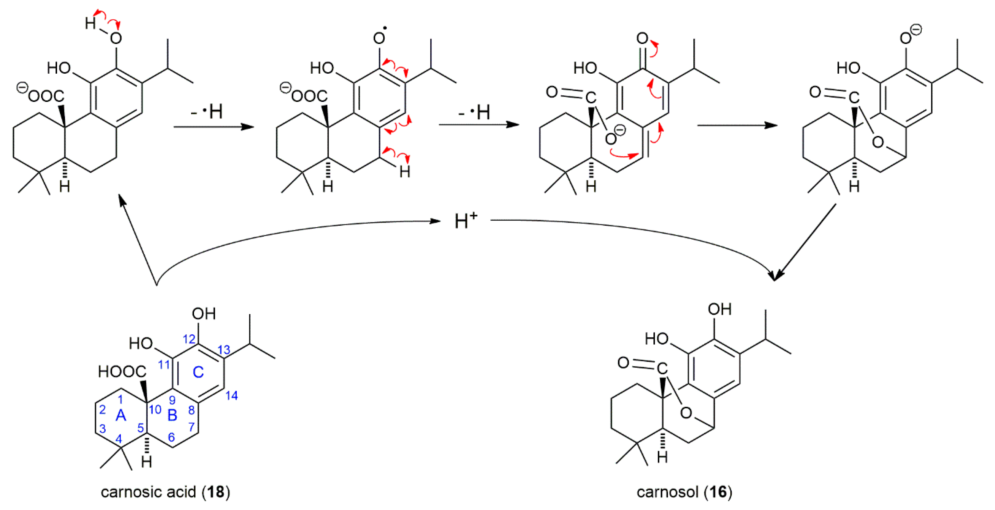 Molecules 24 02921 g010