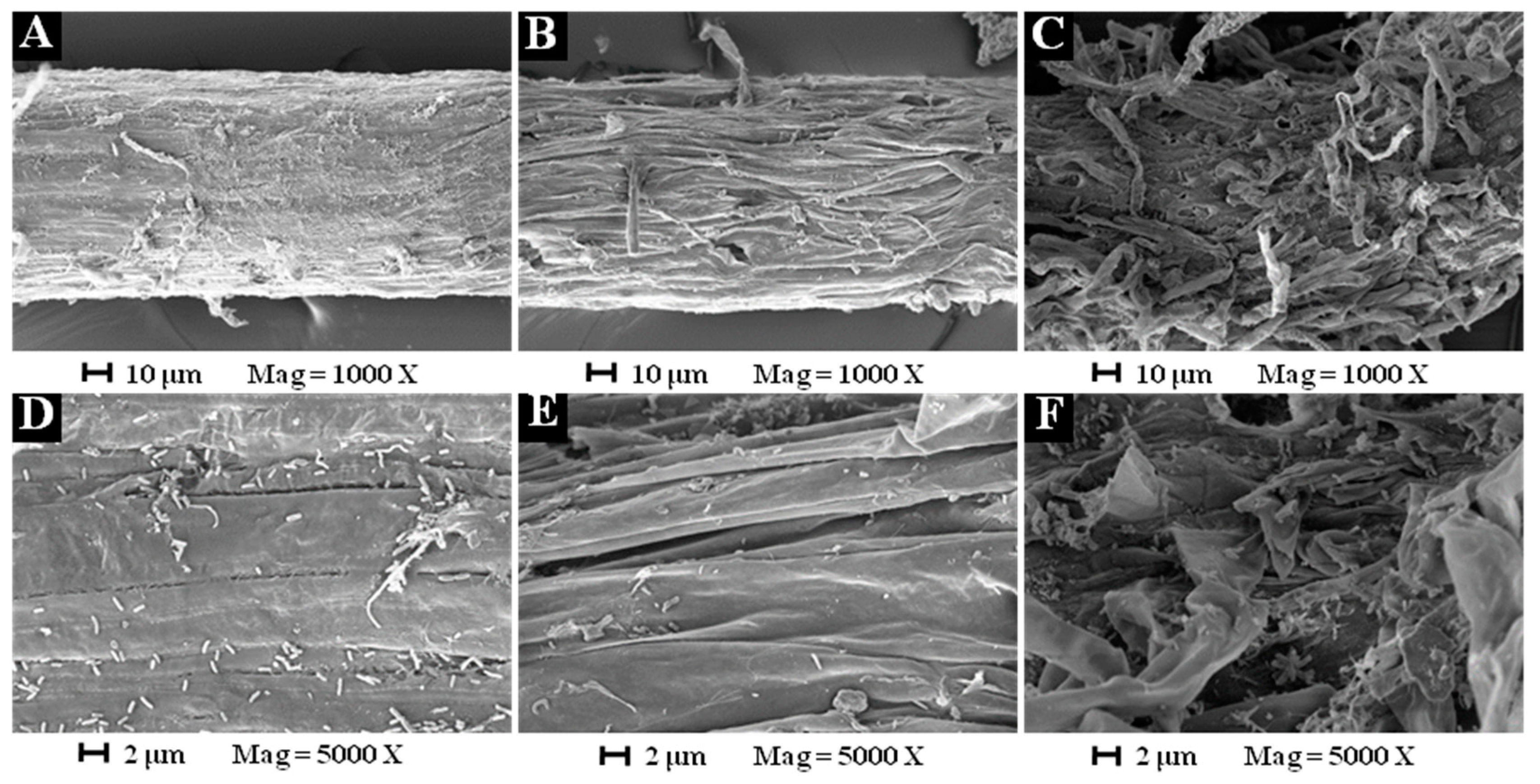 Molecules 24 02969 g005
