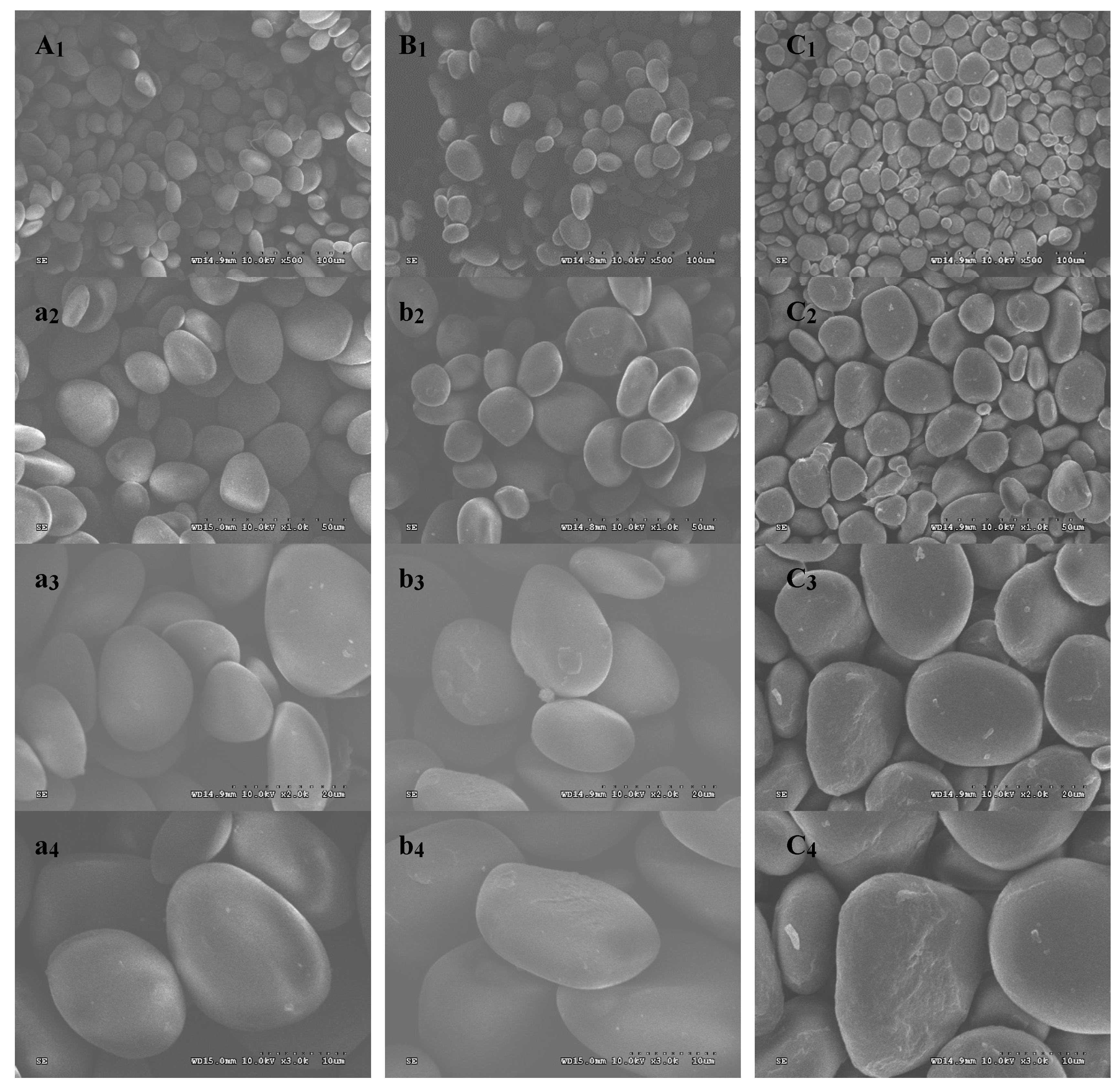 Molecules 24 02973 g001 Molecules 24 02973 g001