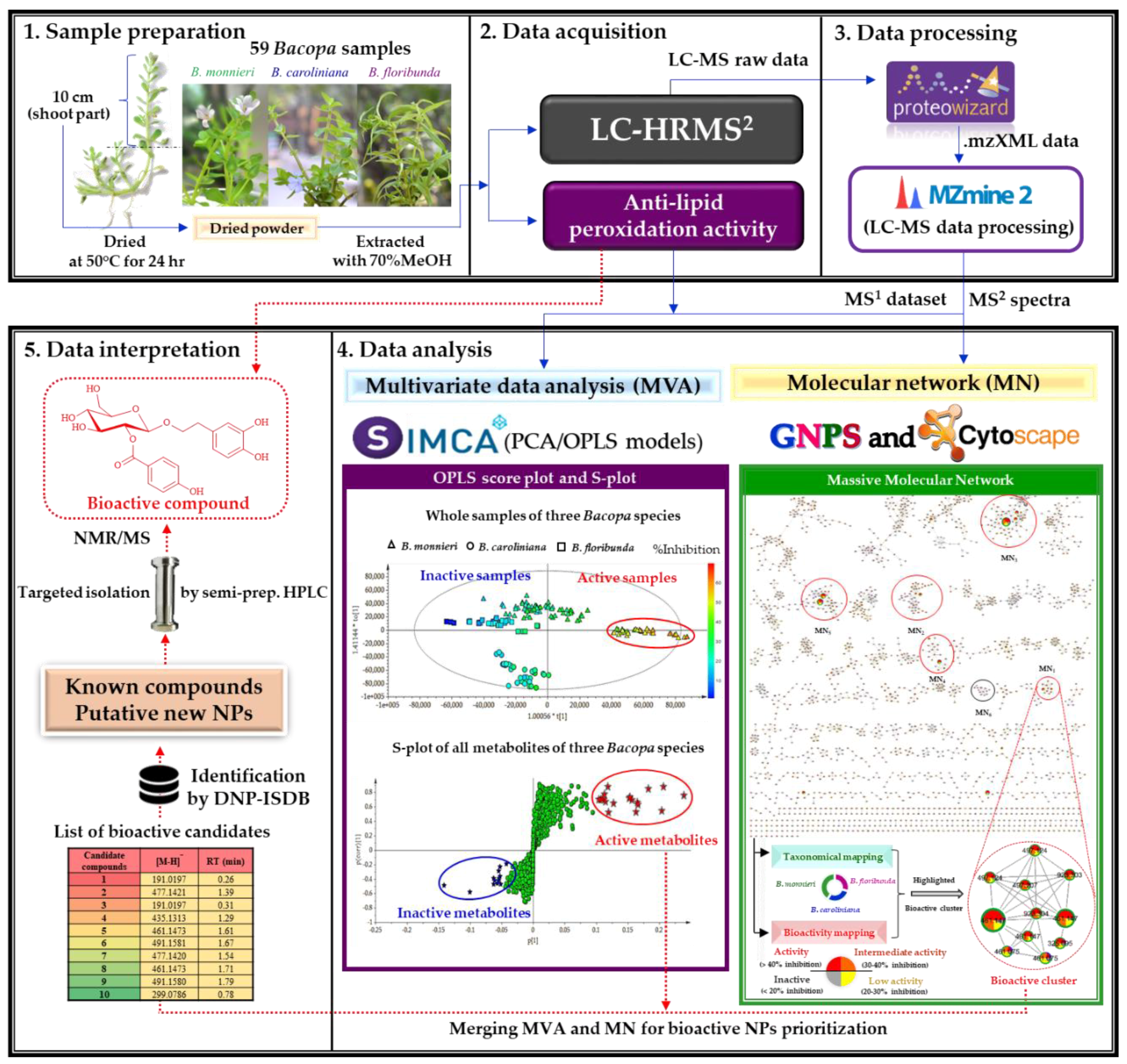 Molecules 24 02989 g001