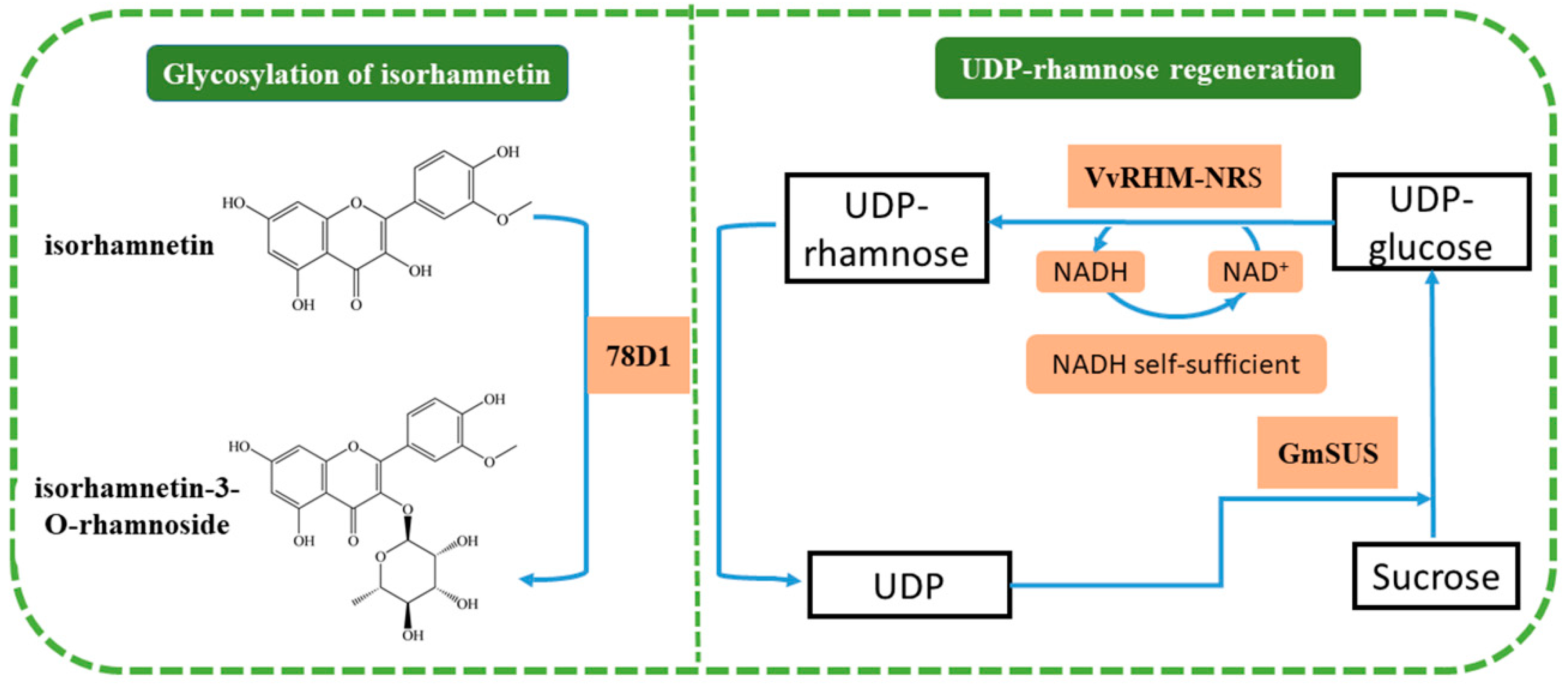 Molecules 24 03042 g001