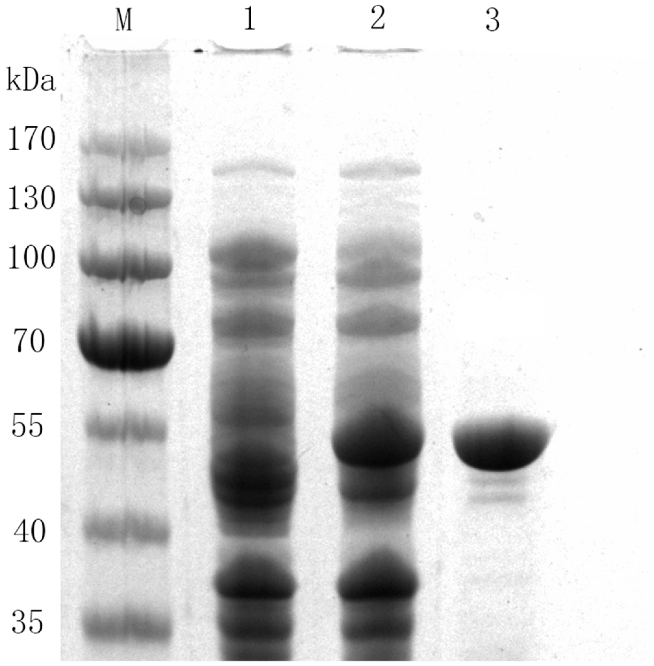 Molecules 24 03042 g002