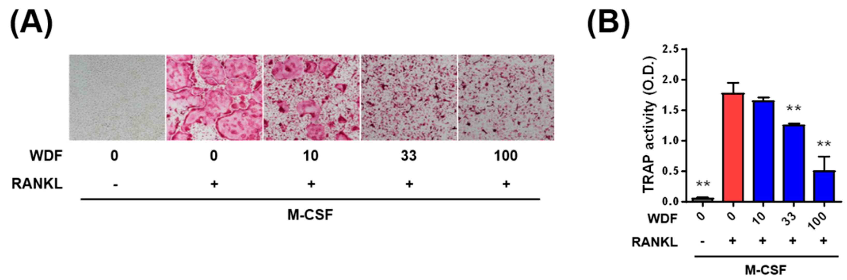 Molecules 24 03051 g002 Molecules 24 03051 g002