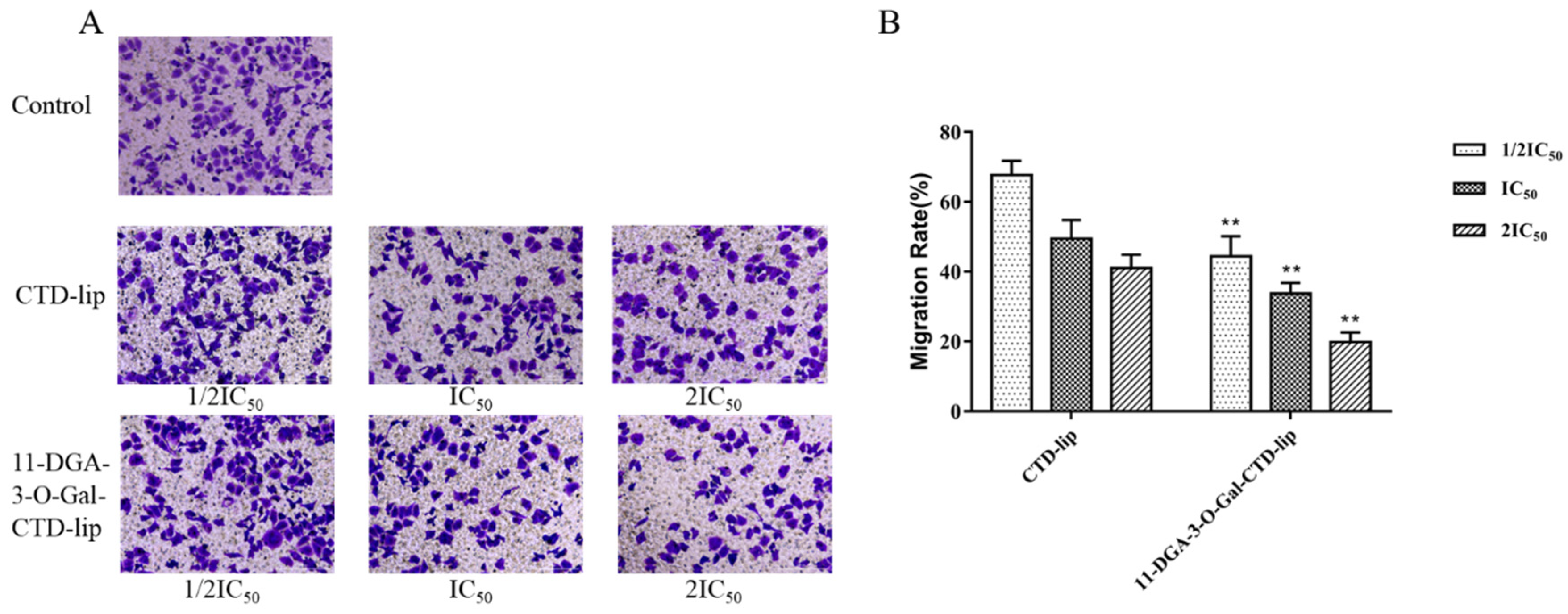 Molecules 24 03080 g006