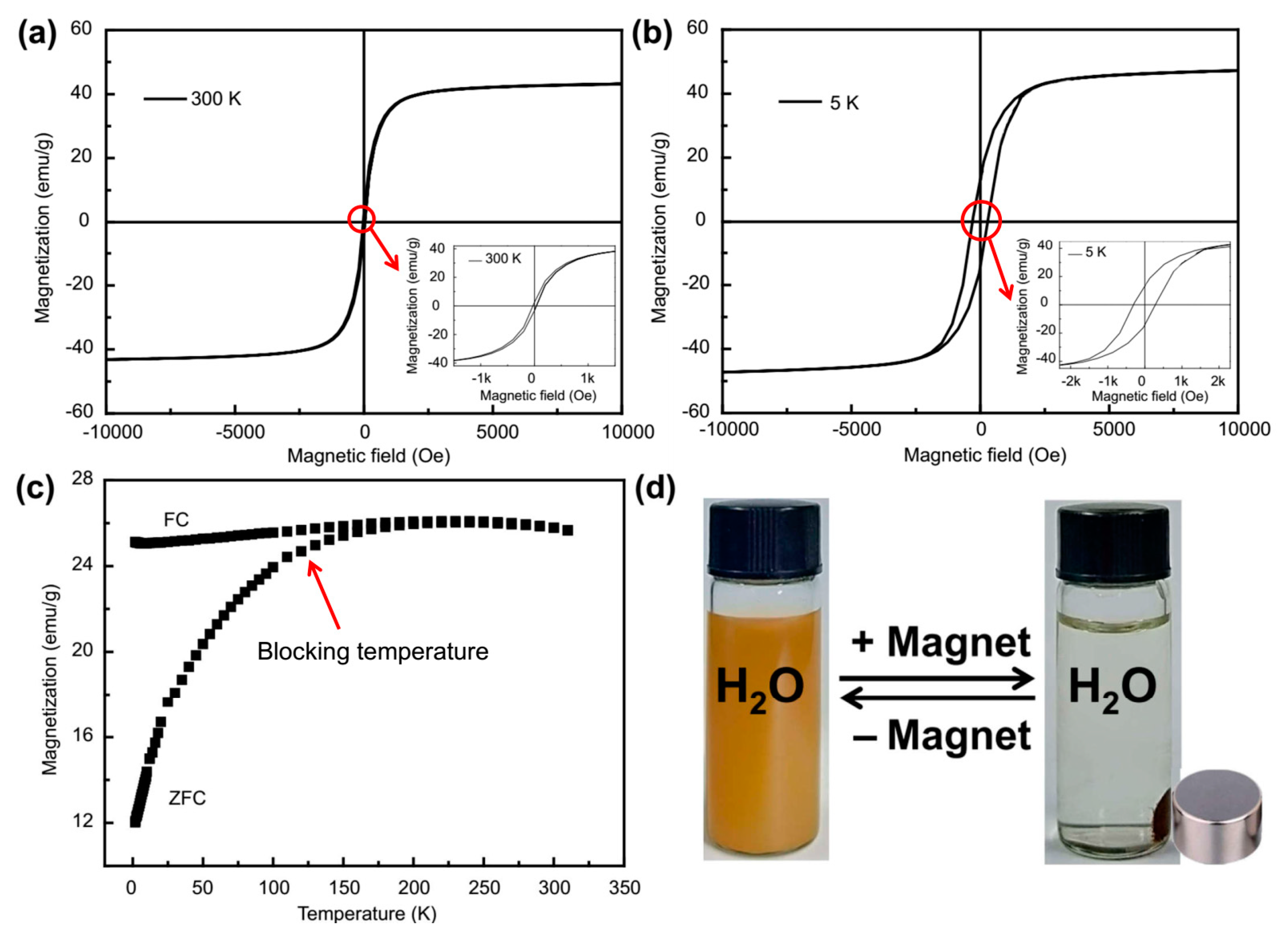 Molecules 24 03128 g005