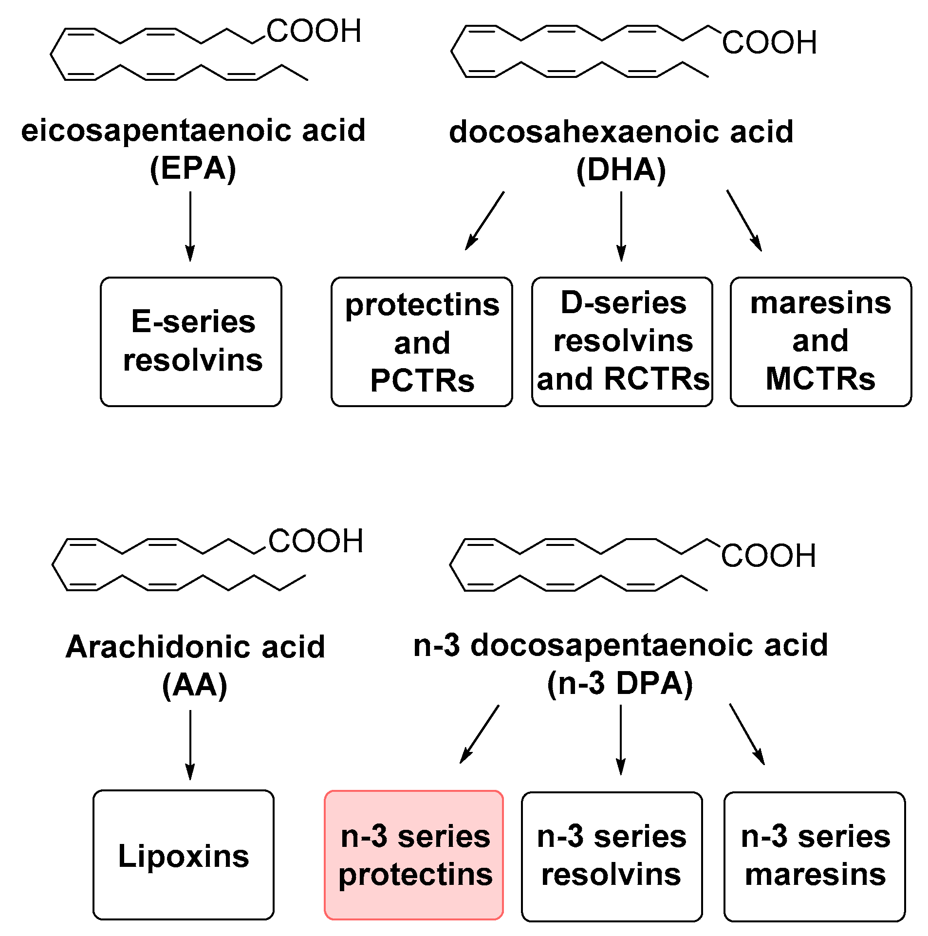 Molecules 24 03228 g001