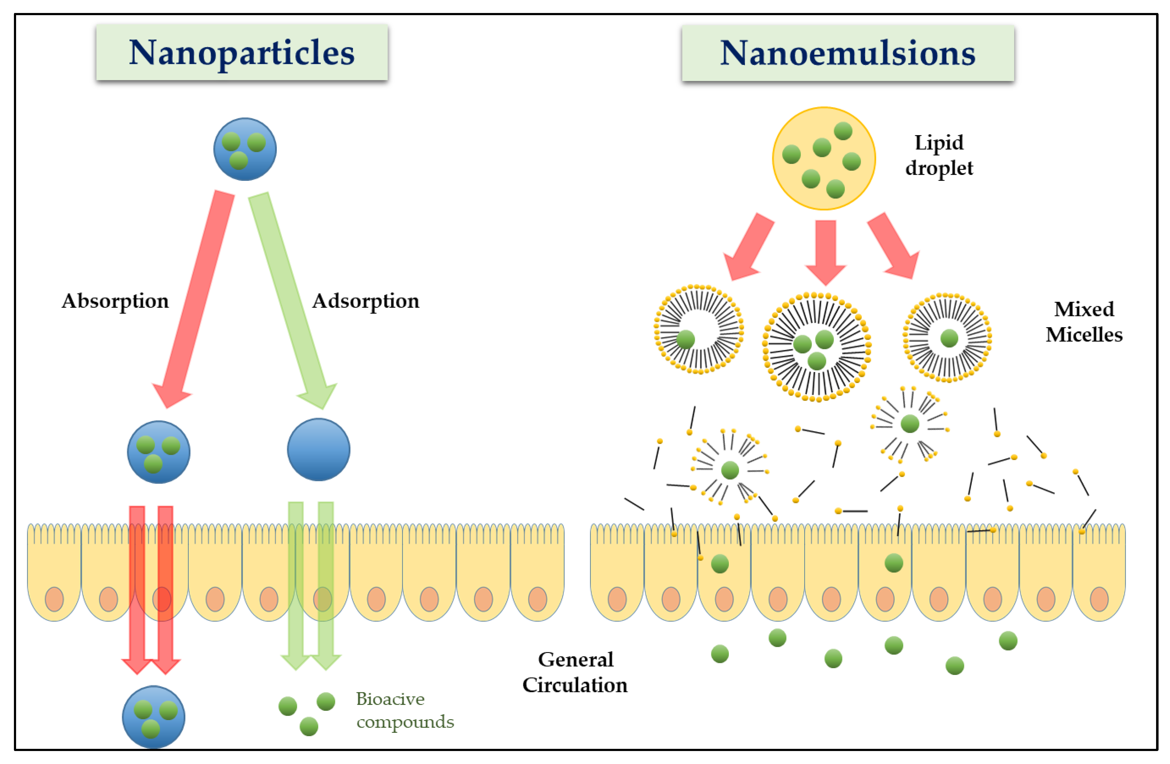 Molecules 24 03254 g003 Molecules 24 03254 g003