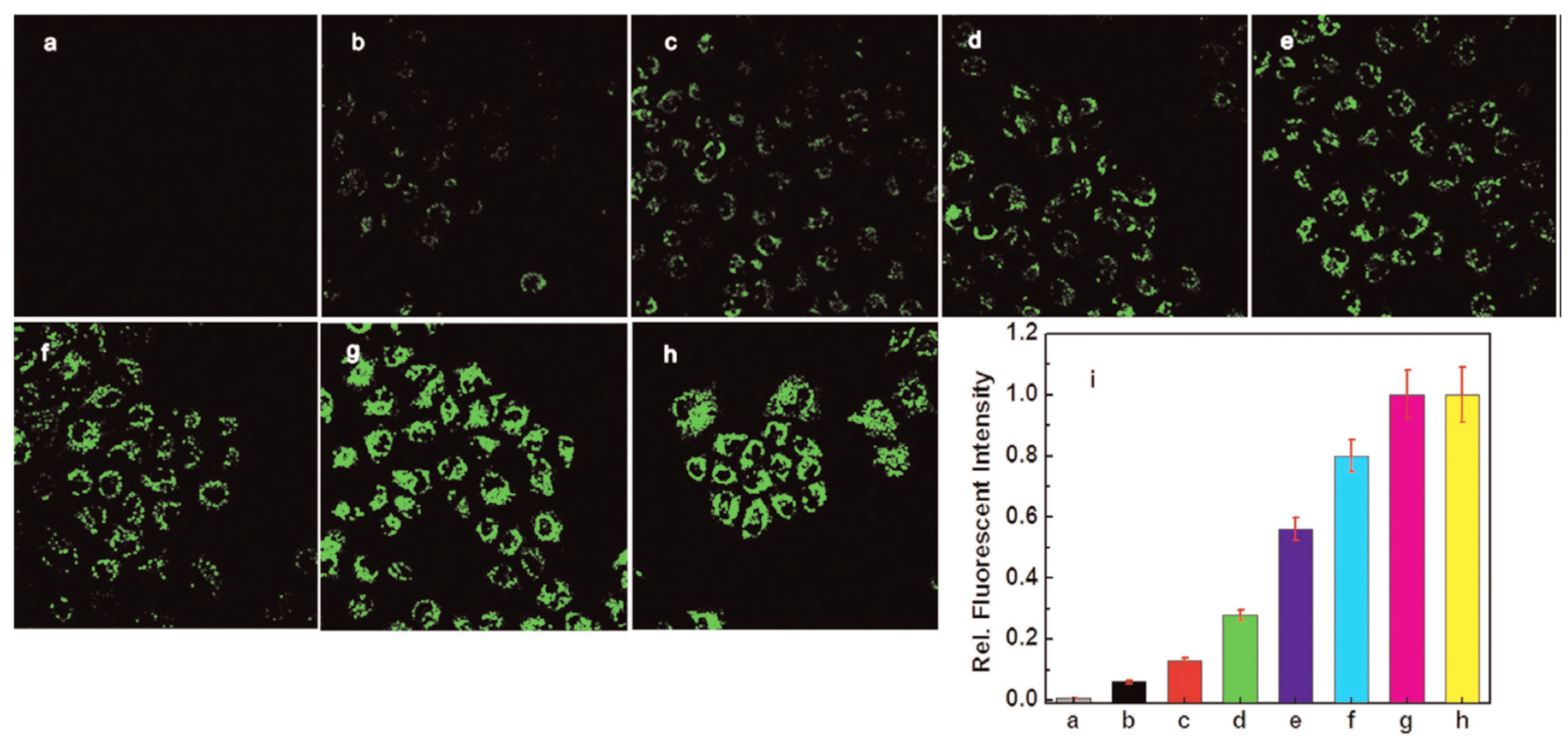 Molecules 24 03267 g003