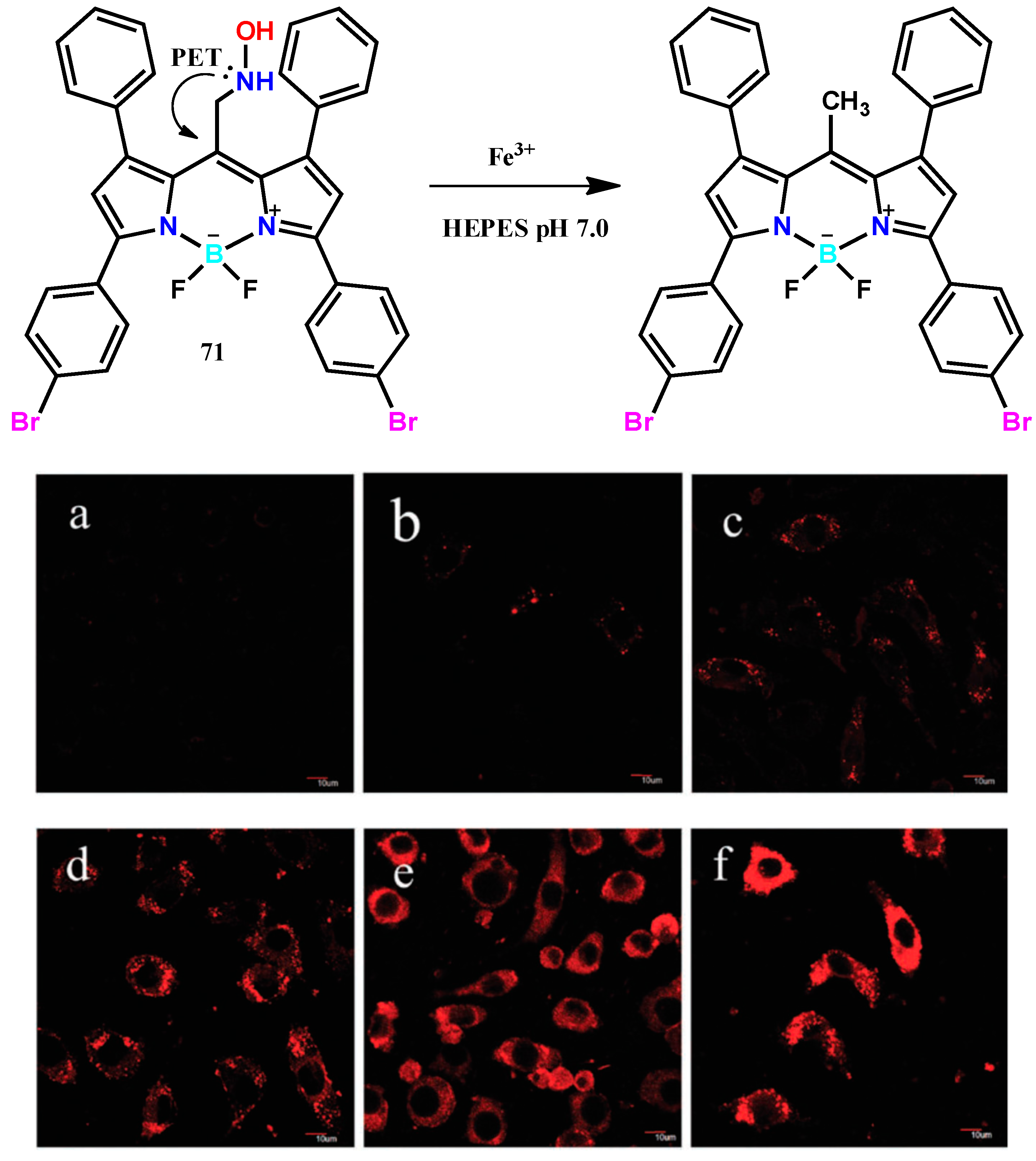 Molecules 24 03267 g008