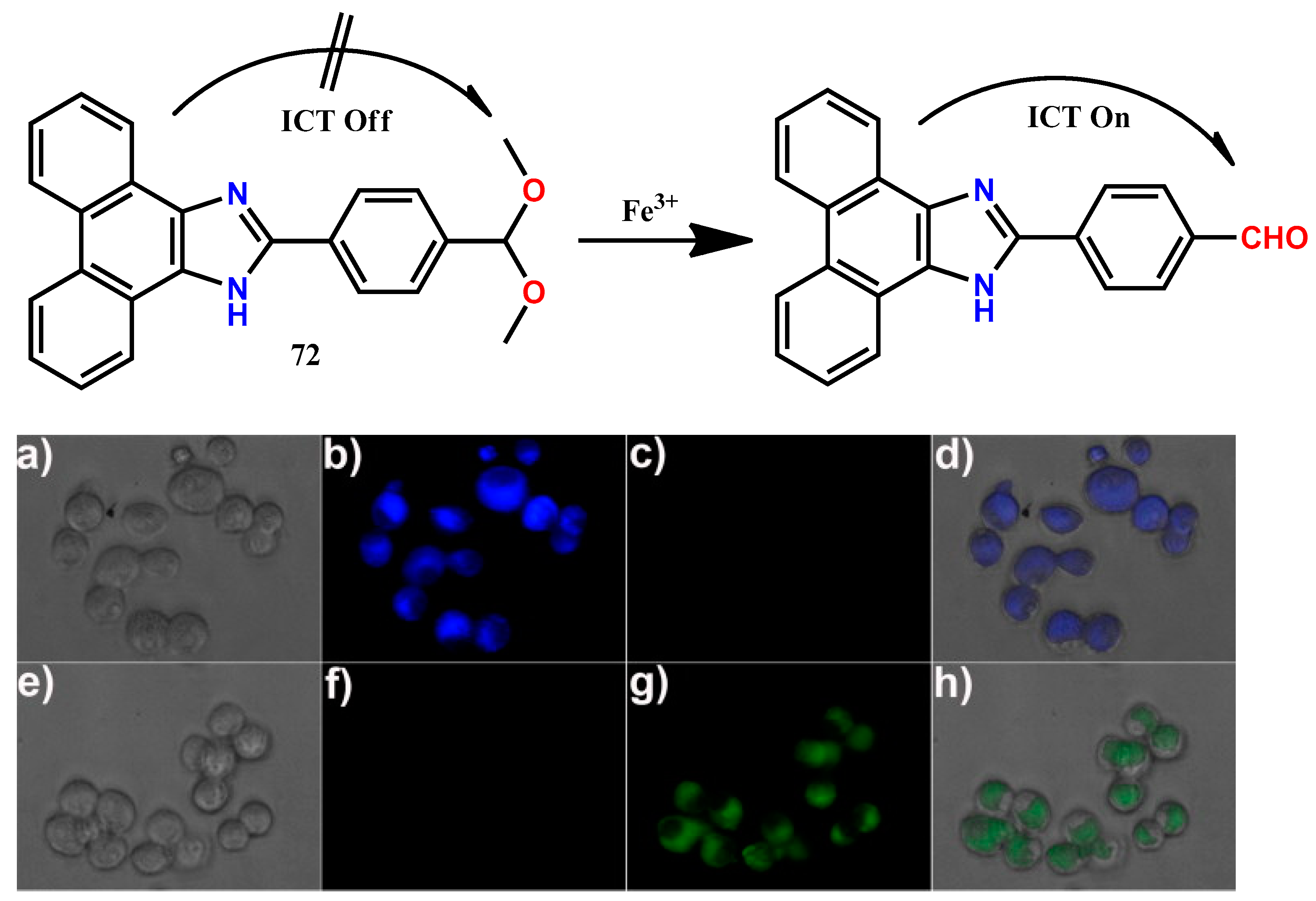 Molecules 24 03267 g009