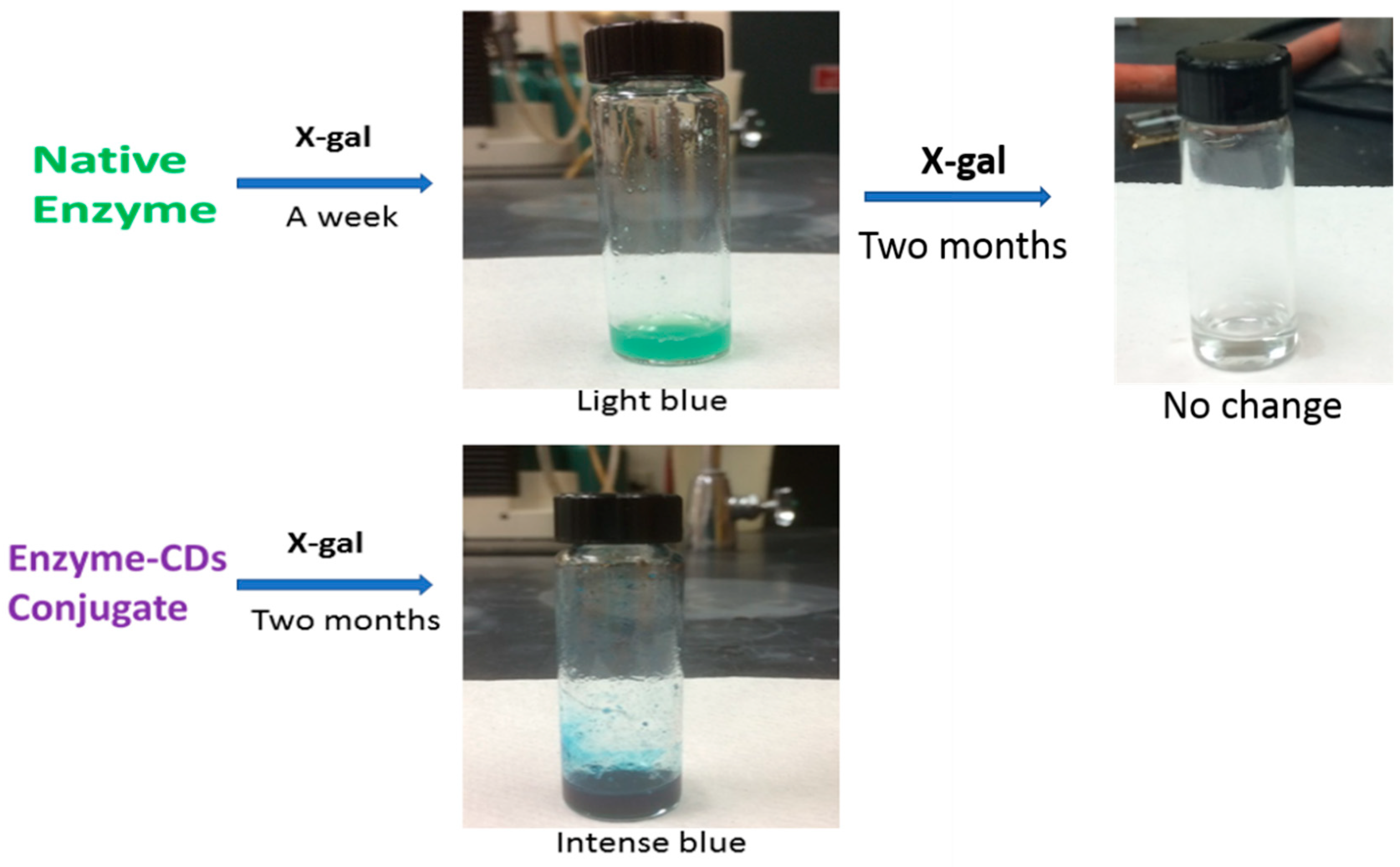 Molecules 24 03275 g001