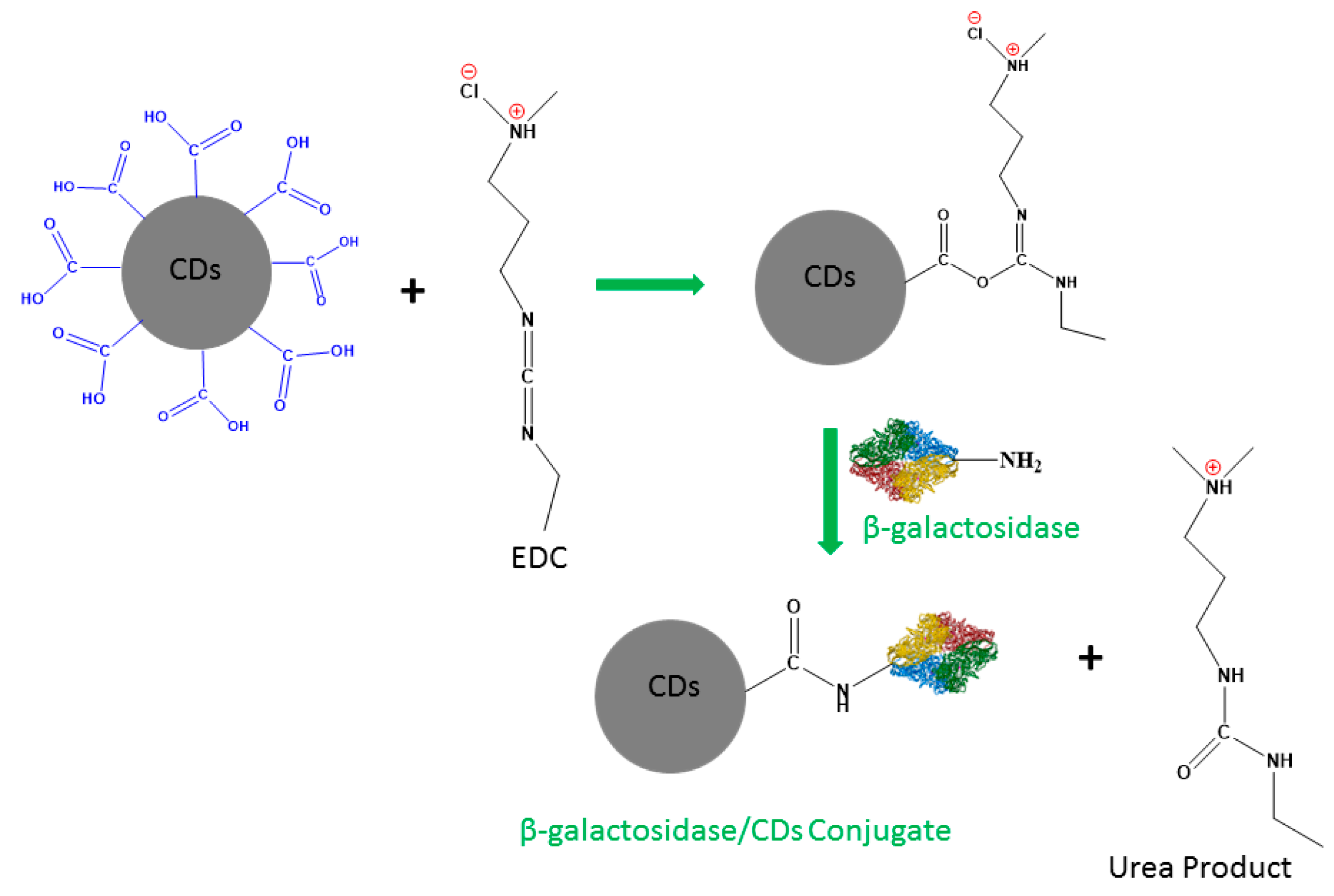 Molecules 24 03275 sch001