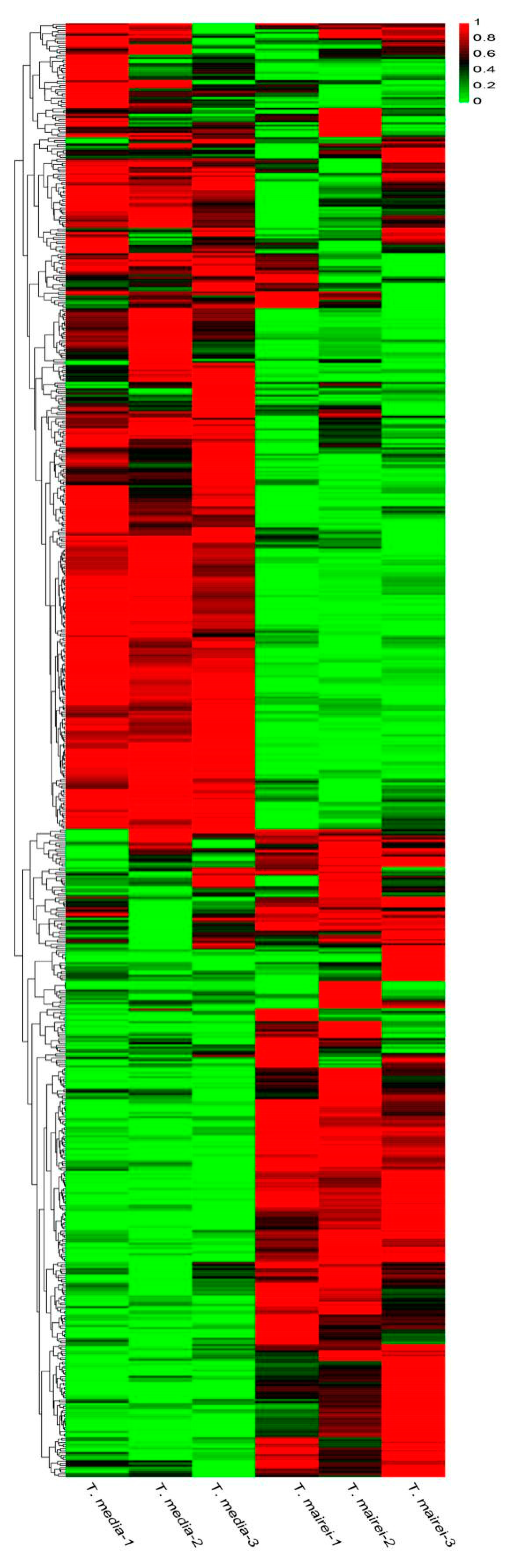 Molecules 24 03323 g002