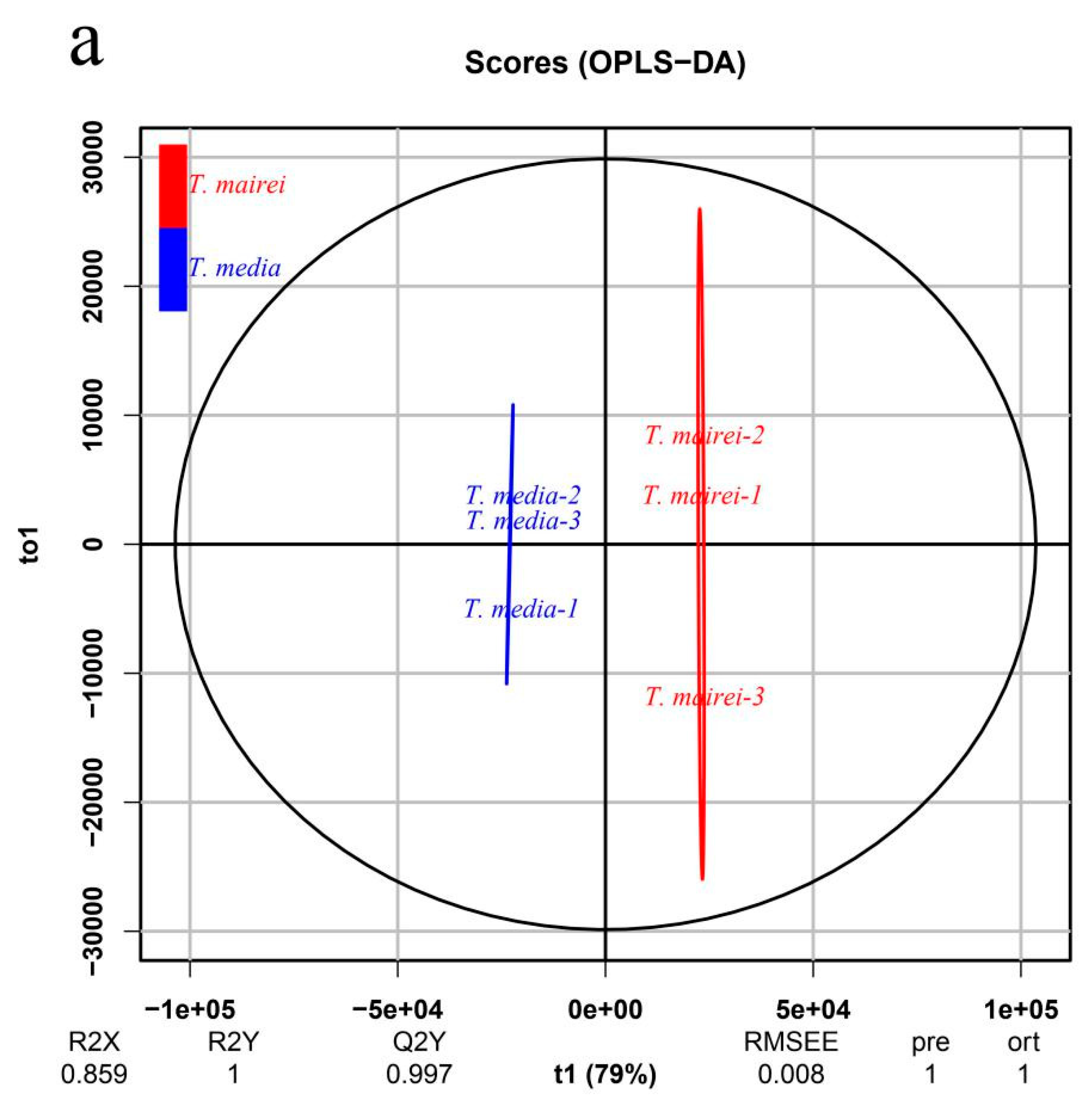 Molecules 24 03323 g003a