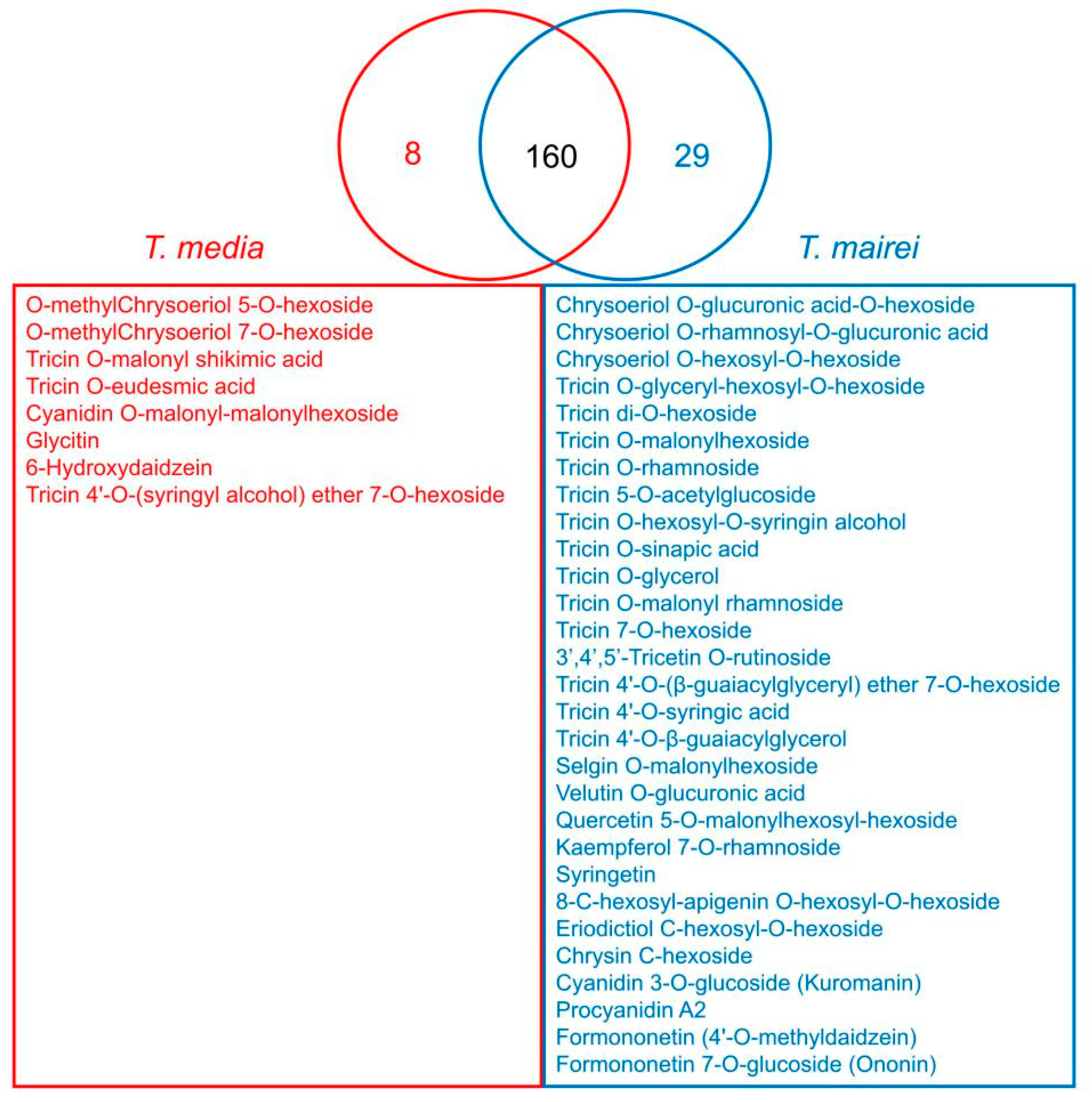 Molecules 24 03323 g005