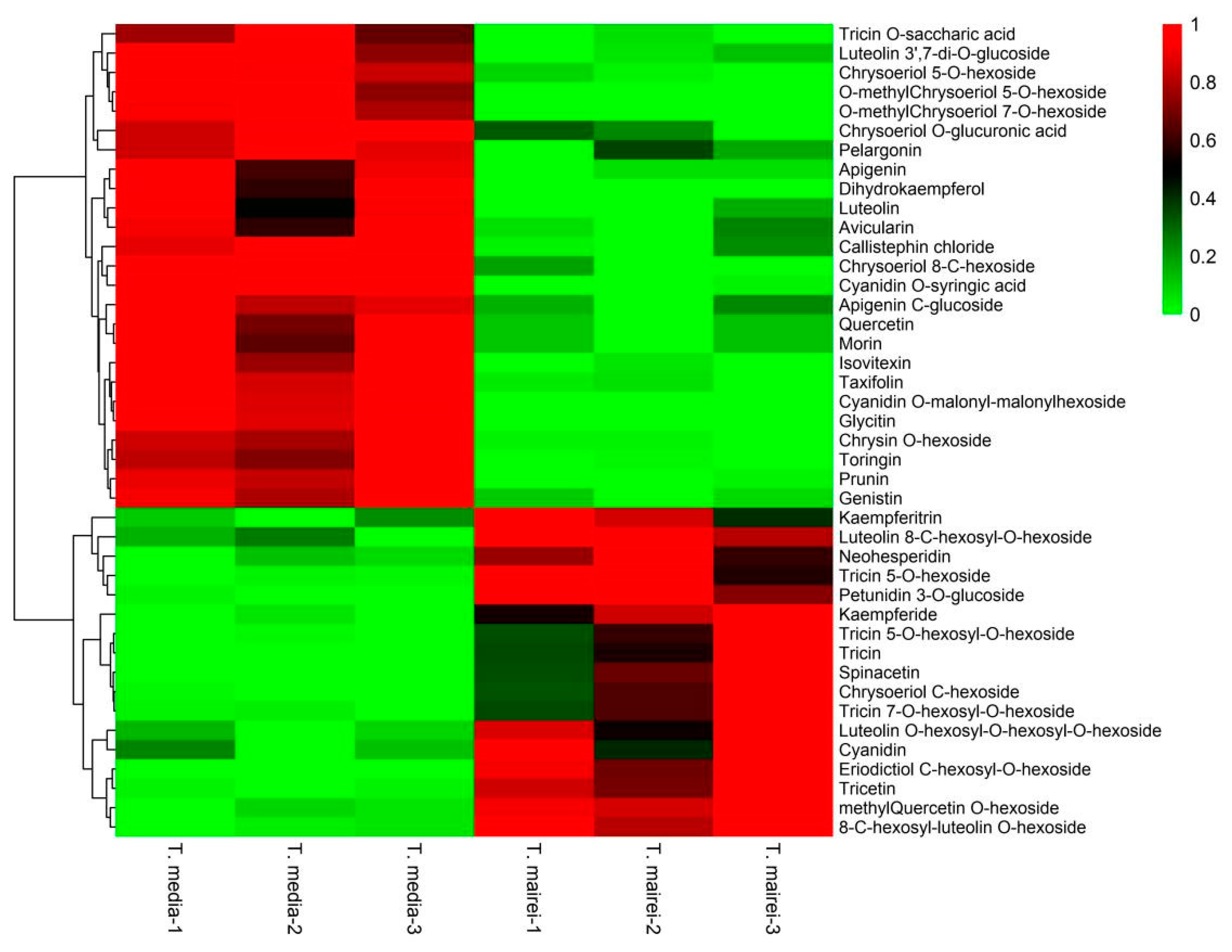 Molecules 24 03323 g006