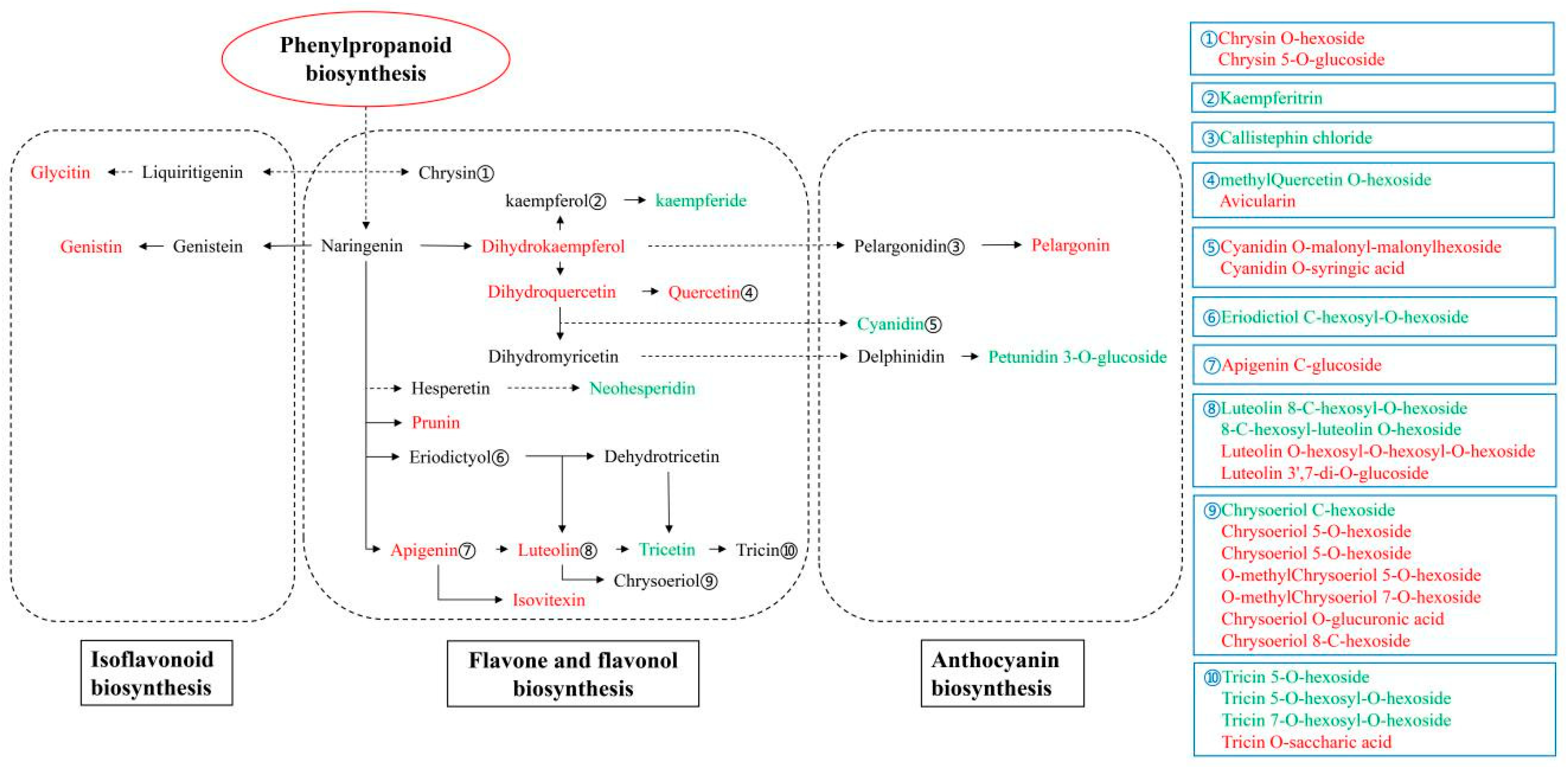 Molecules 24 03323 g007