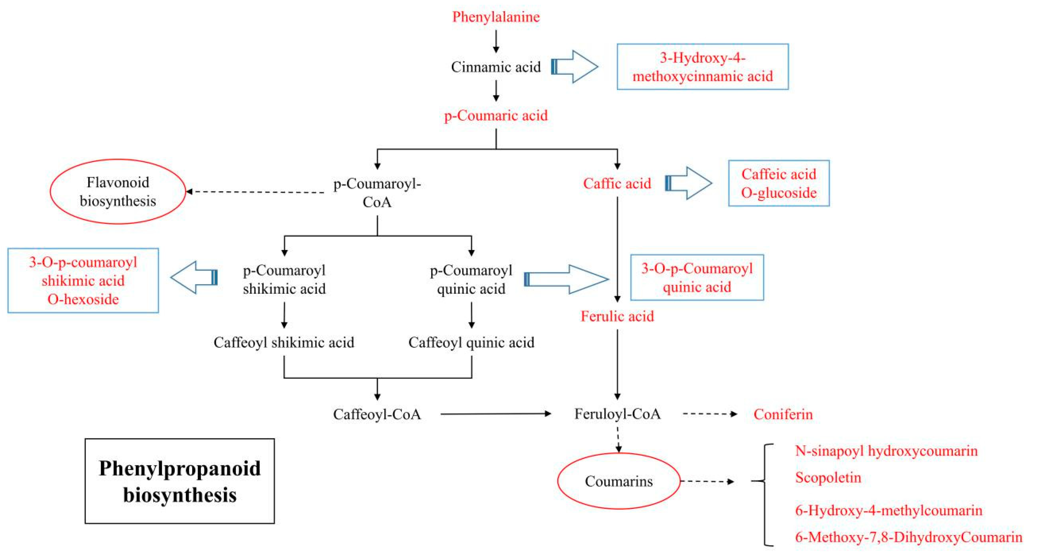 Molecules 24 03323 g008