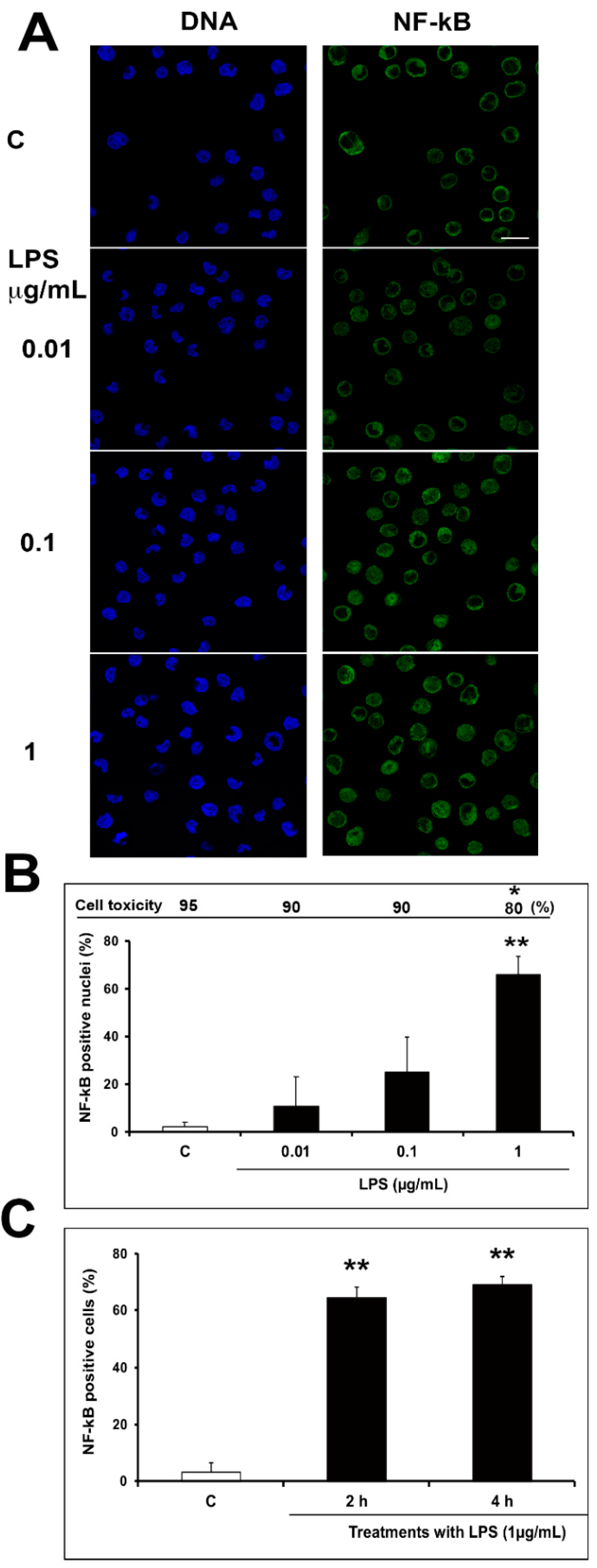 Molecules 24 03376 g003 Molecules 24 03376 g003
