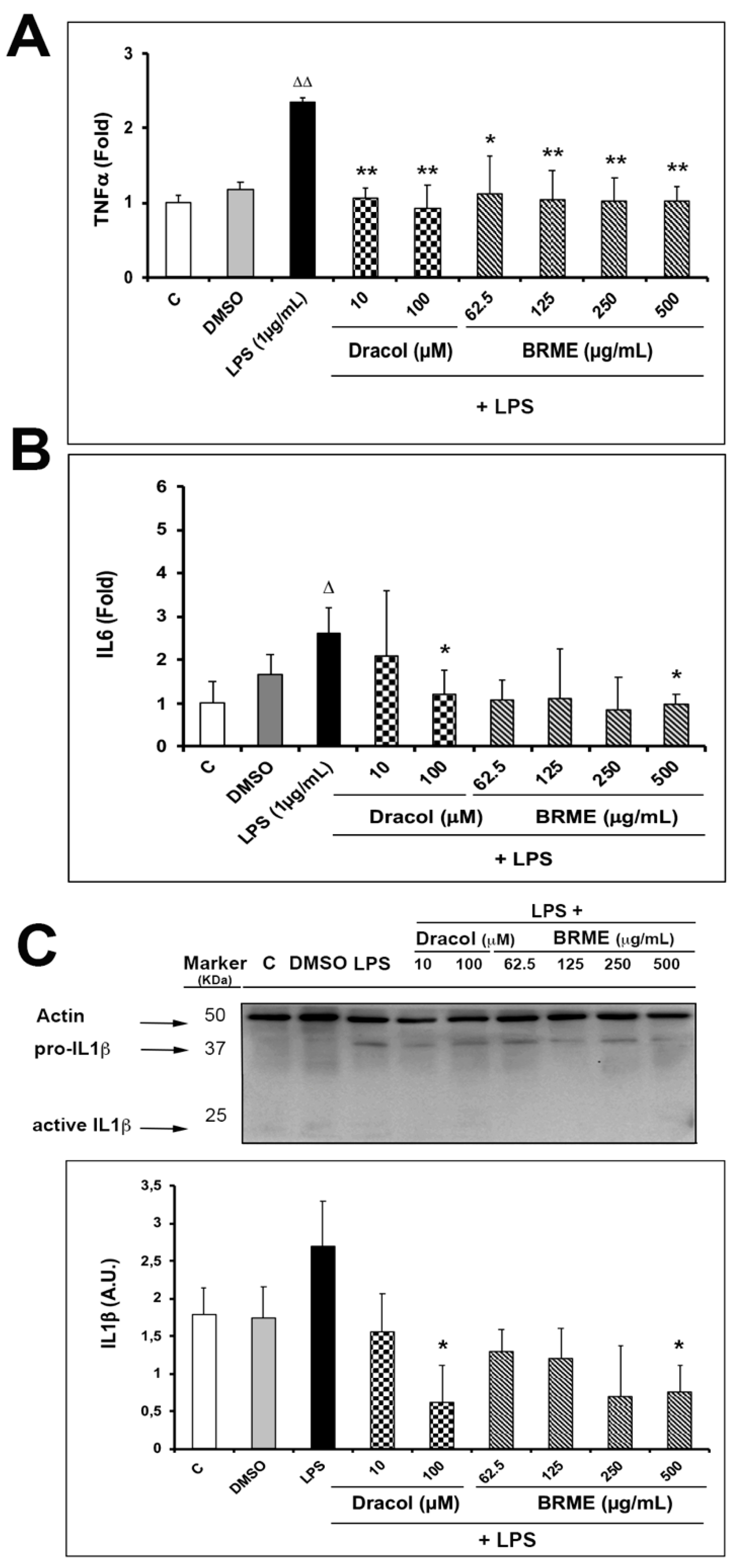 Molecules 24 03376 g005 Molecules 24 03376 g005